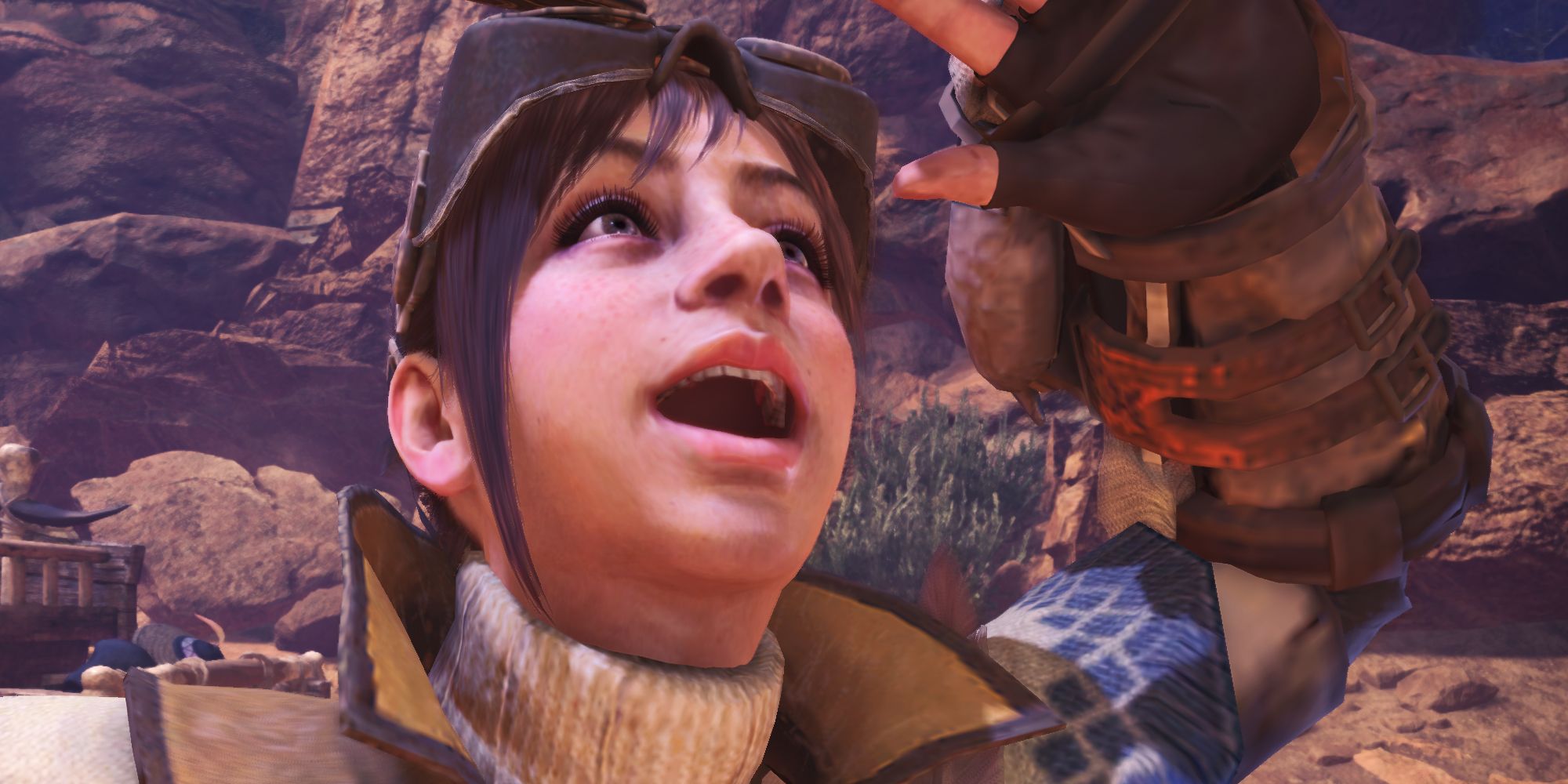 Monster Hunter Worlds Handler looking up into the sky excitedly 