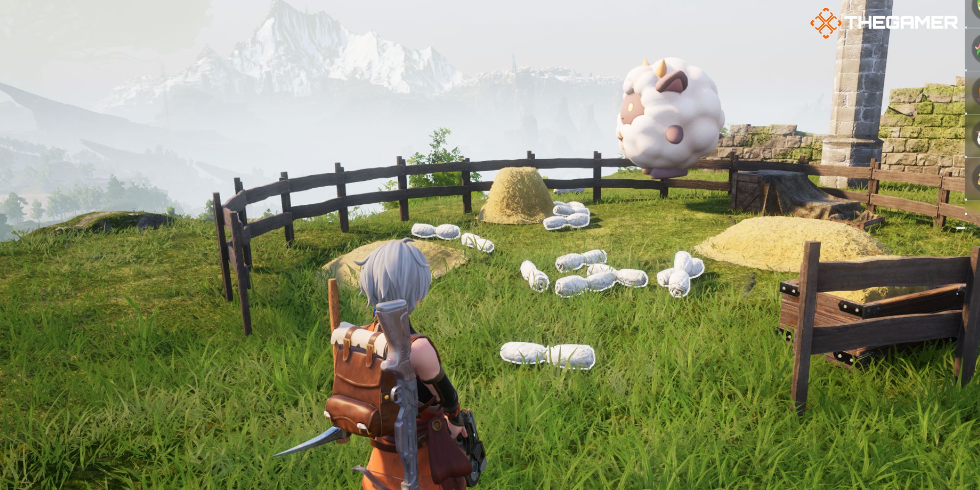 Player stands with a field and has a lemons inside it that has a bunch of wool polyns