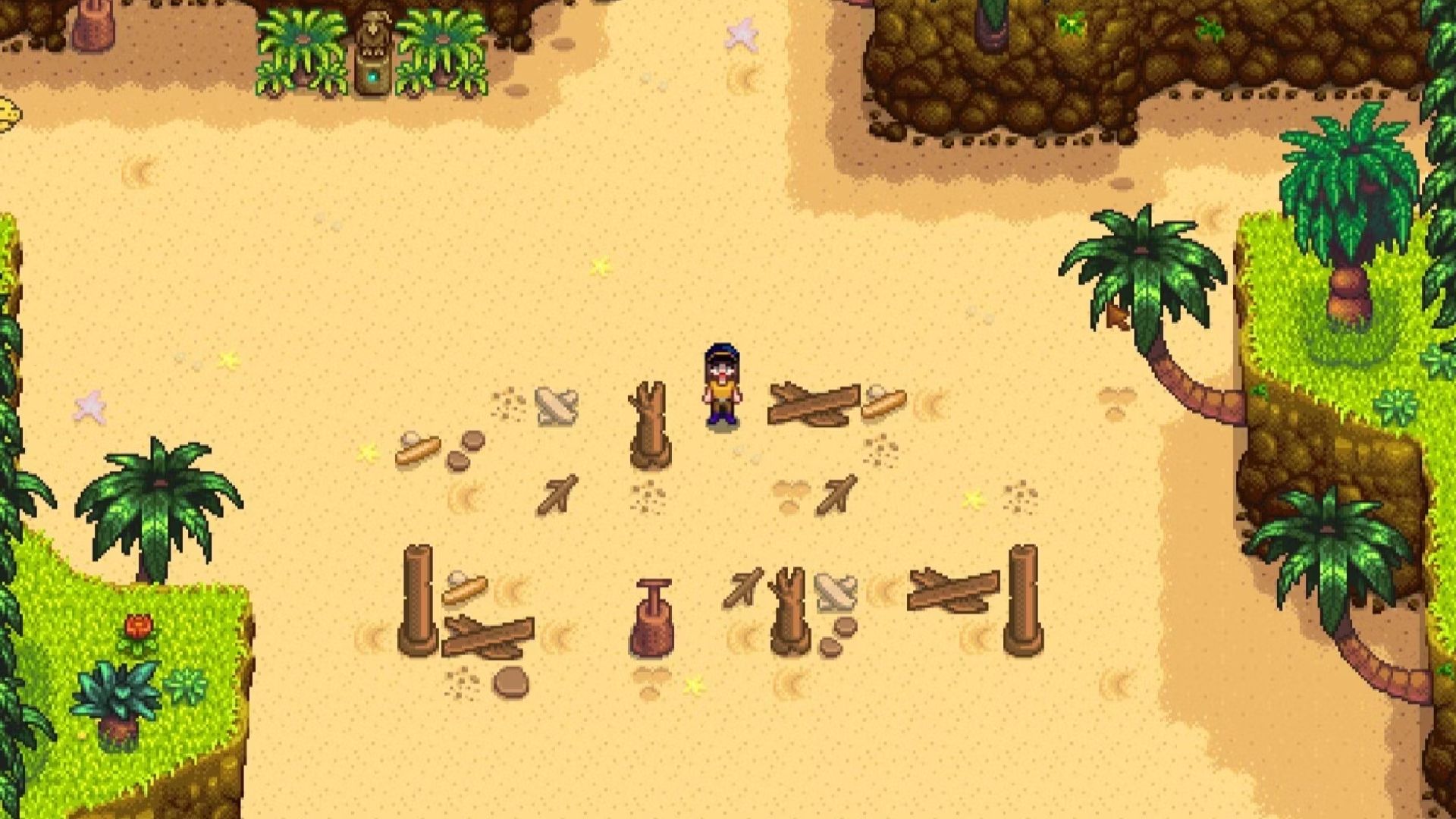 player standing on initial landing beach in ginger island-1