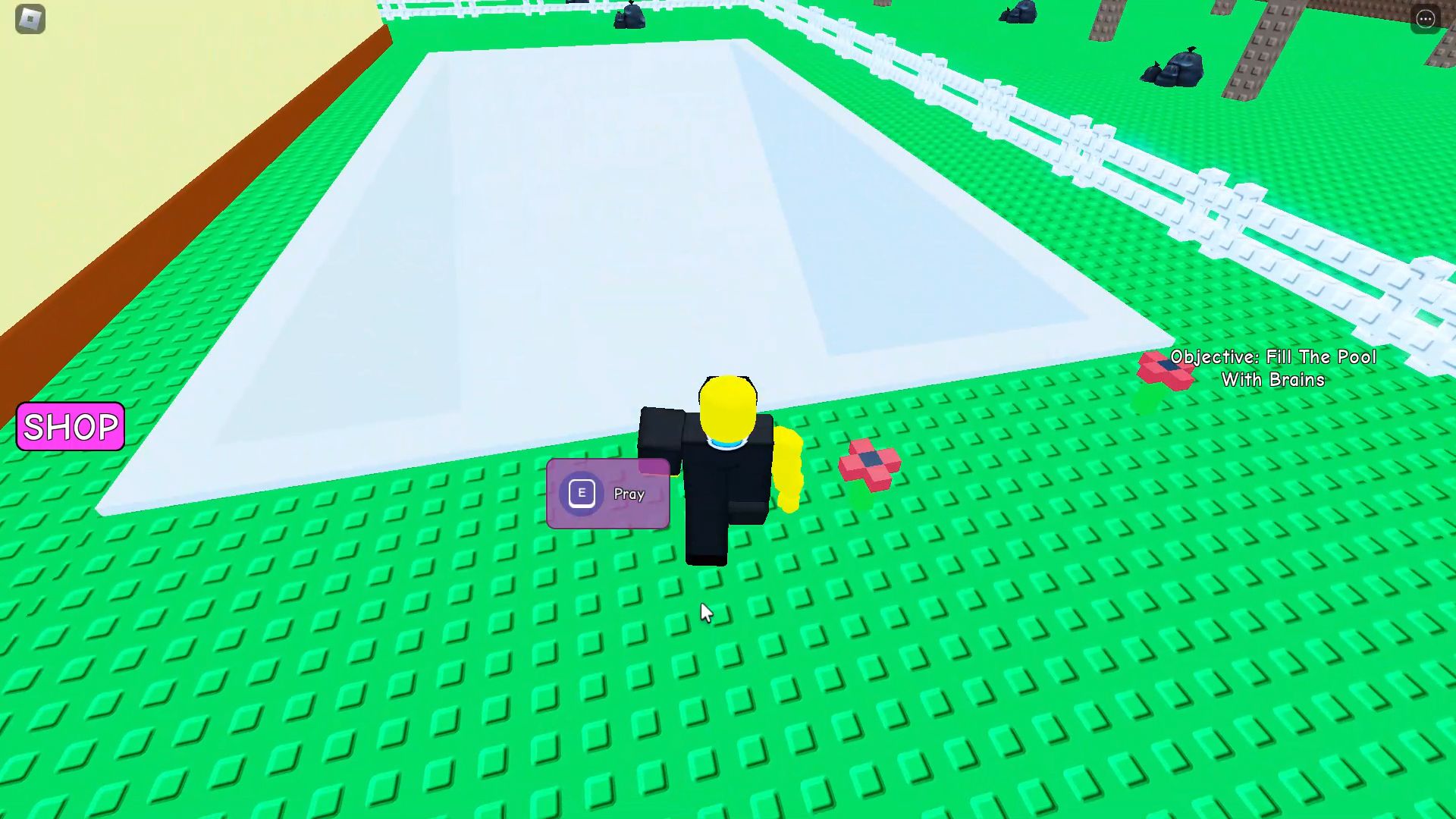 Roblox Need More Smart, the kid next to the pool