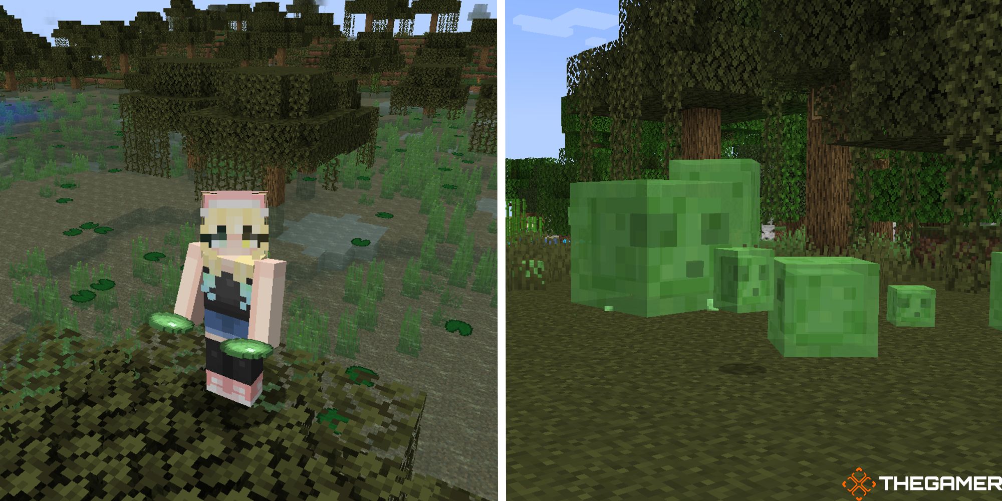split image of minecraft player in swamp holding 2 slime balls next to image of slimes in group