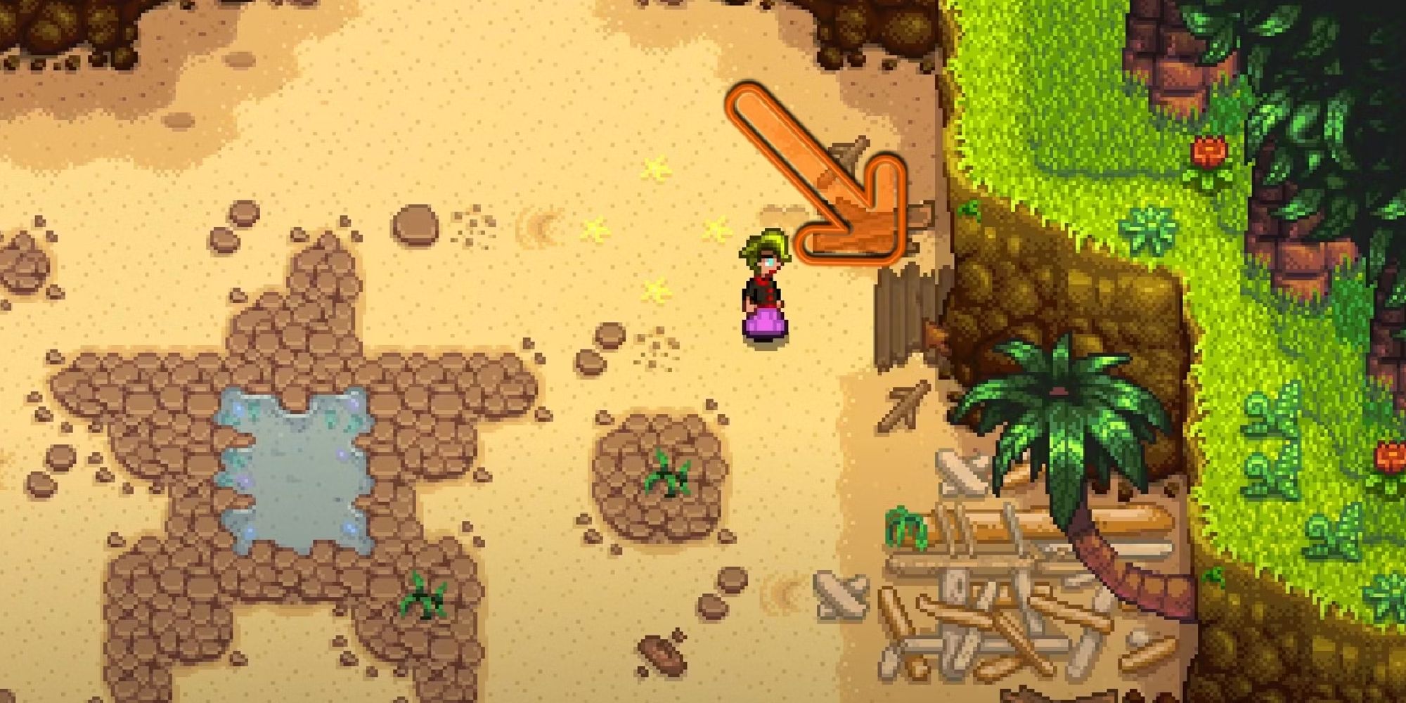 stardew valley player standing near entrance to pirate cove