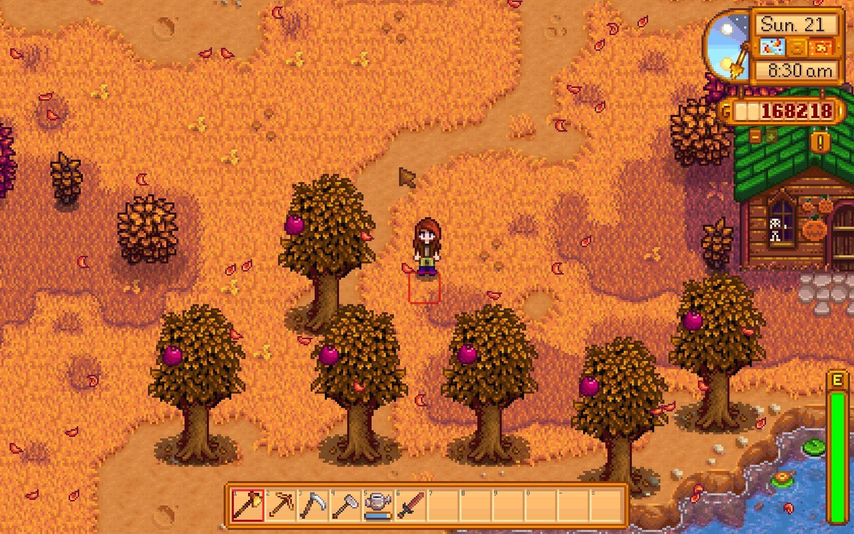 stardew valley player standing near pomegranate trees
