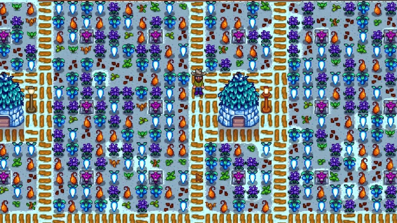 stardew winter crops with player in center