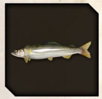 Every Dondoko Island Fish And How To Catch It In Like A Dragon 