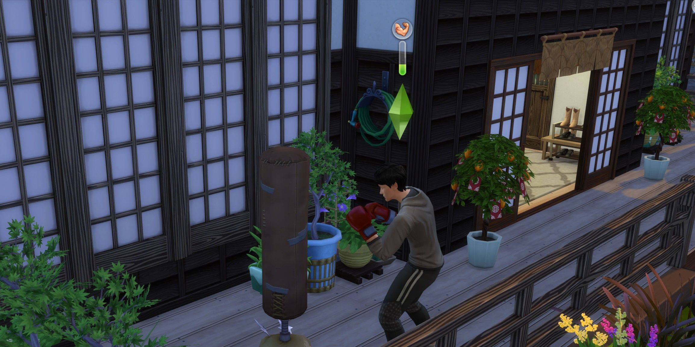 The Sims 4: A Sim Boxing