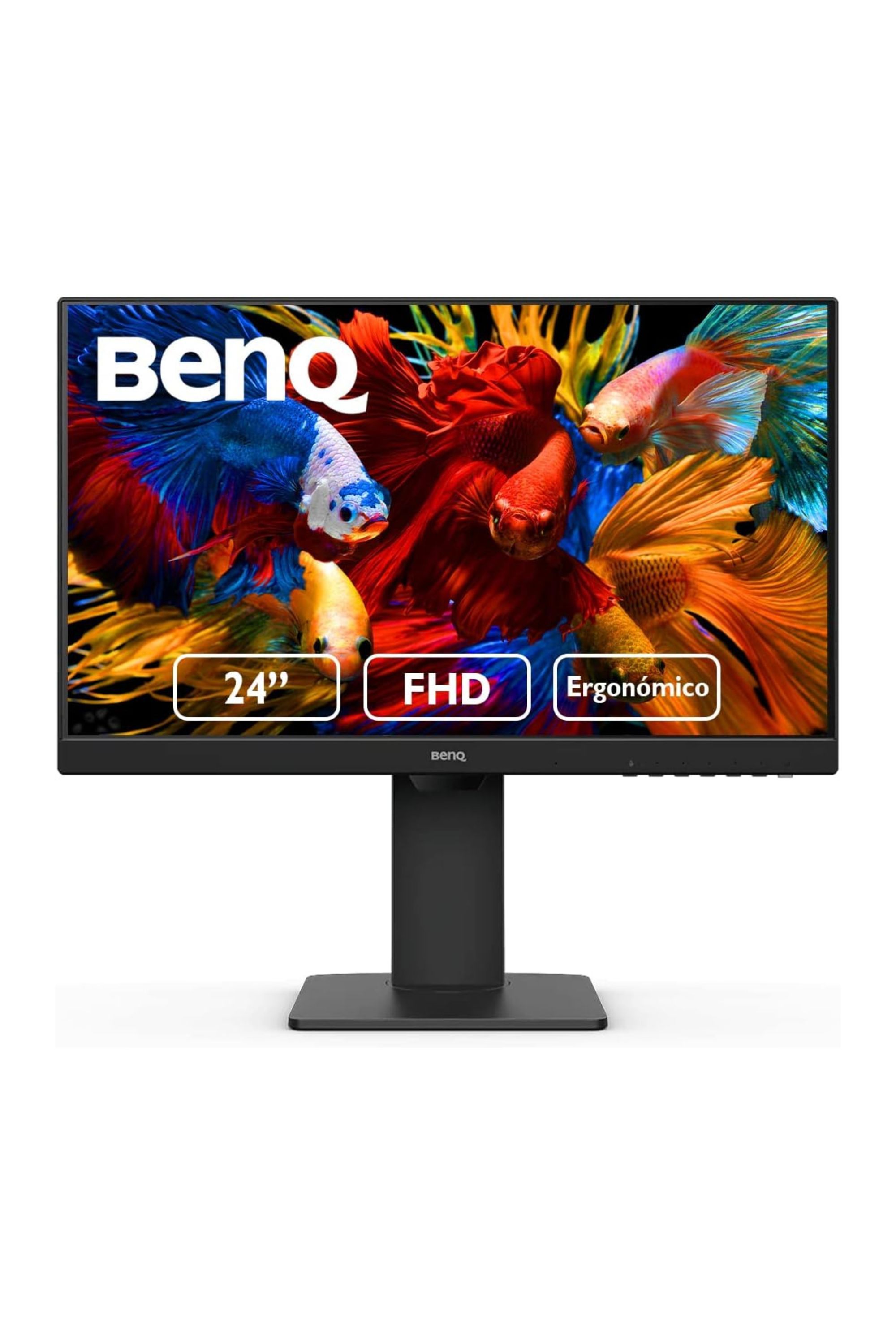 Best Budget Gaming Monitors In 2024