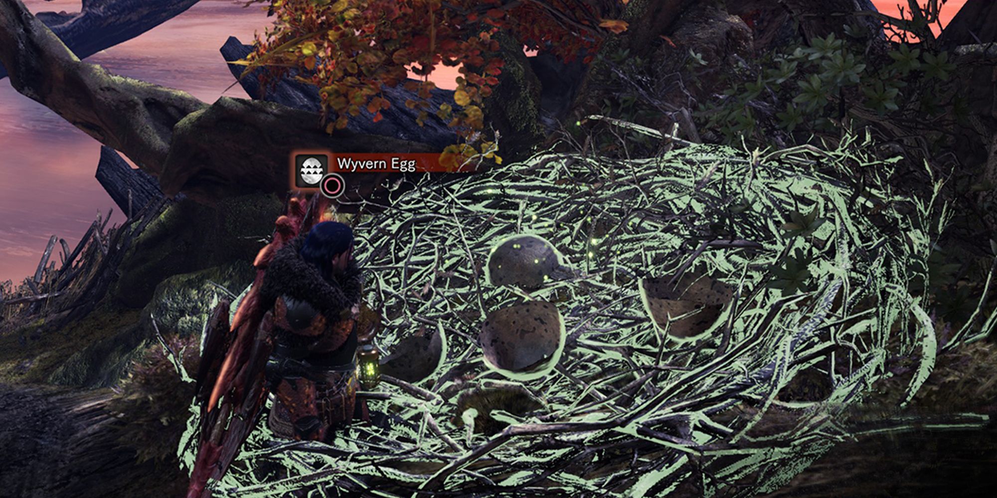 a nest containing wyvern eggs and a hunter inspecting it