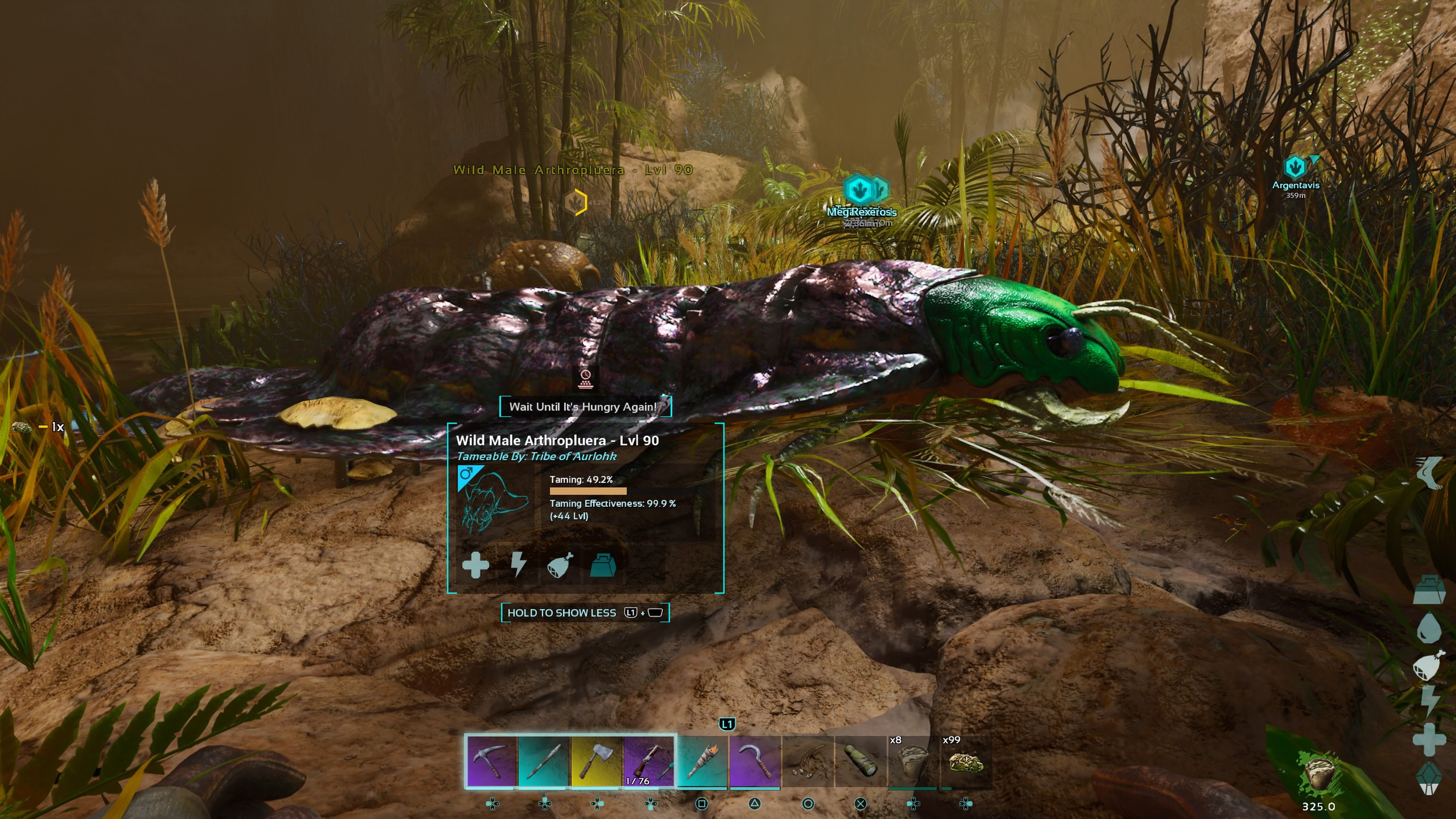 Player character crouching down next to a wild Arthropluera and feeding it Spoiled Meat to tame it in Ark: Survival Ascended.