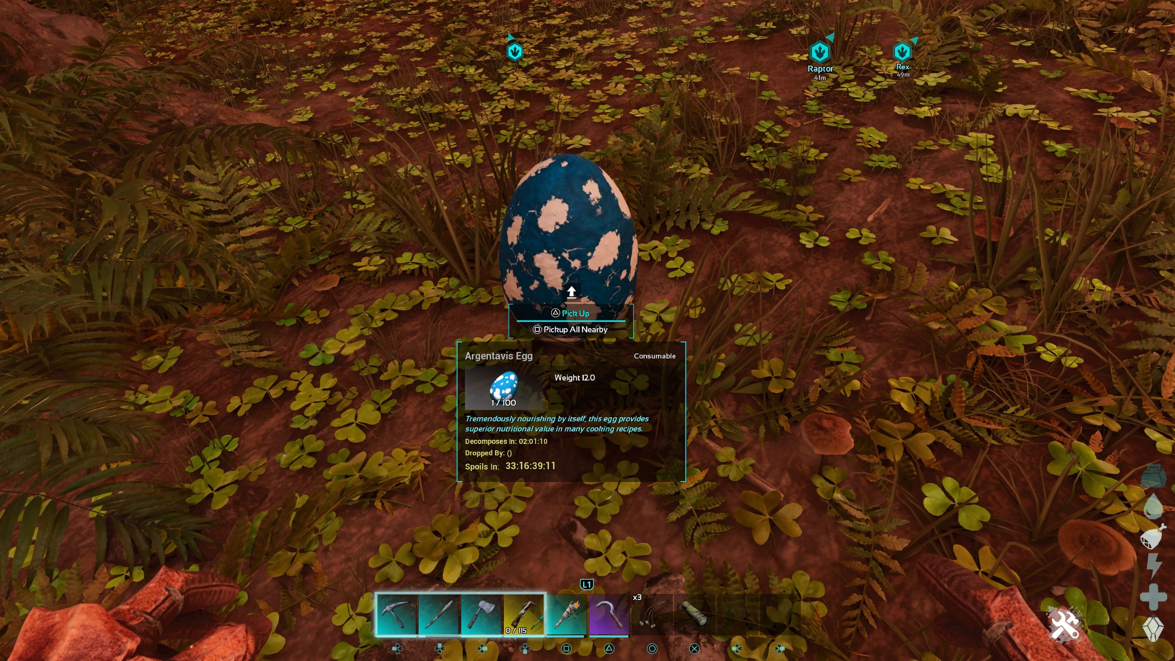 Player character looking down at an unfertilized Argentavis Egg sitting on the ground in Ark: Survival Ascended.