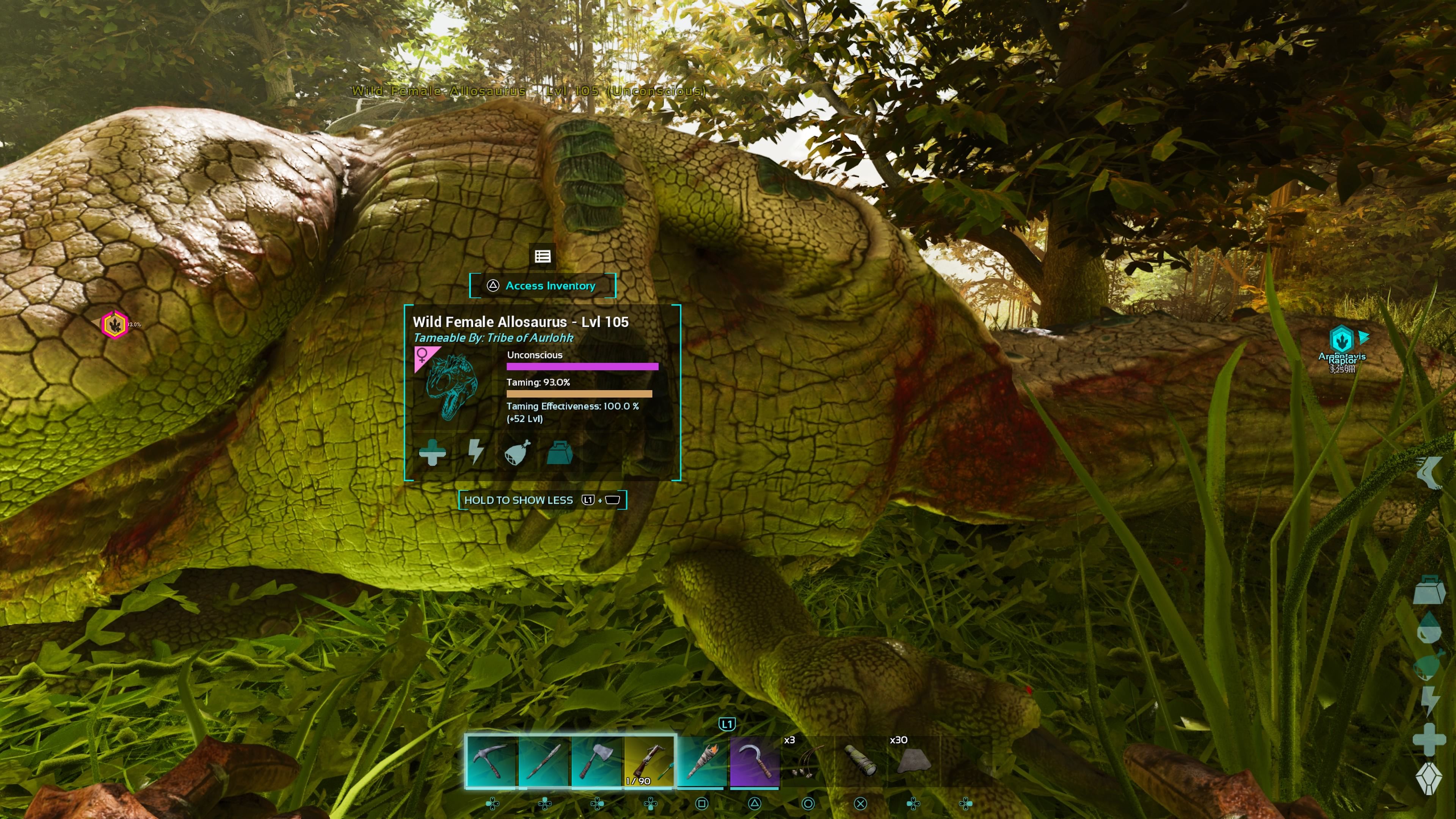 Player character standing down next to an Allosaurus that&rsquo;s been almost entirely tamed using Superior Kibble in Ark: Survival Ascended.