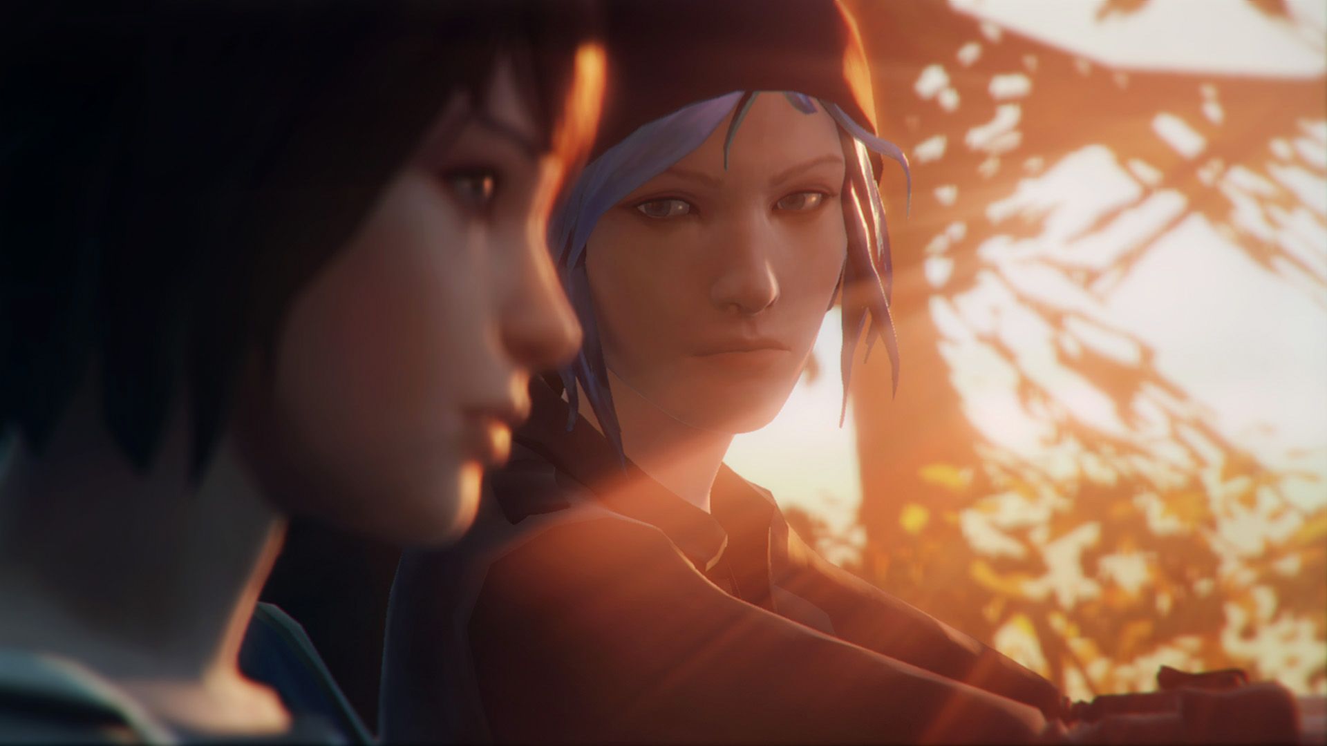 Life is Strange всегда была «гей-игрой»