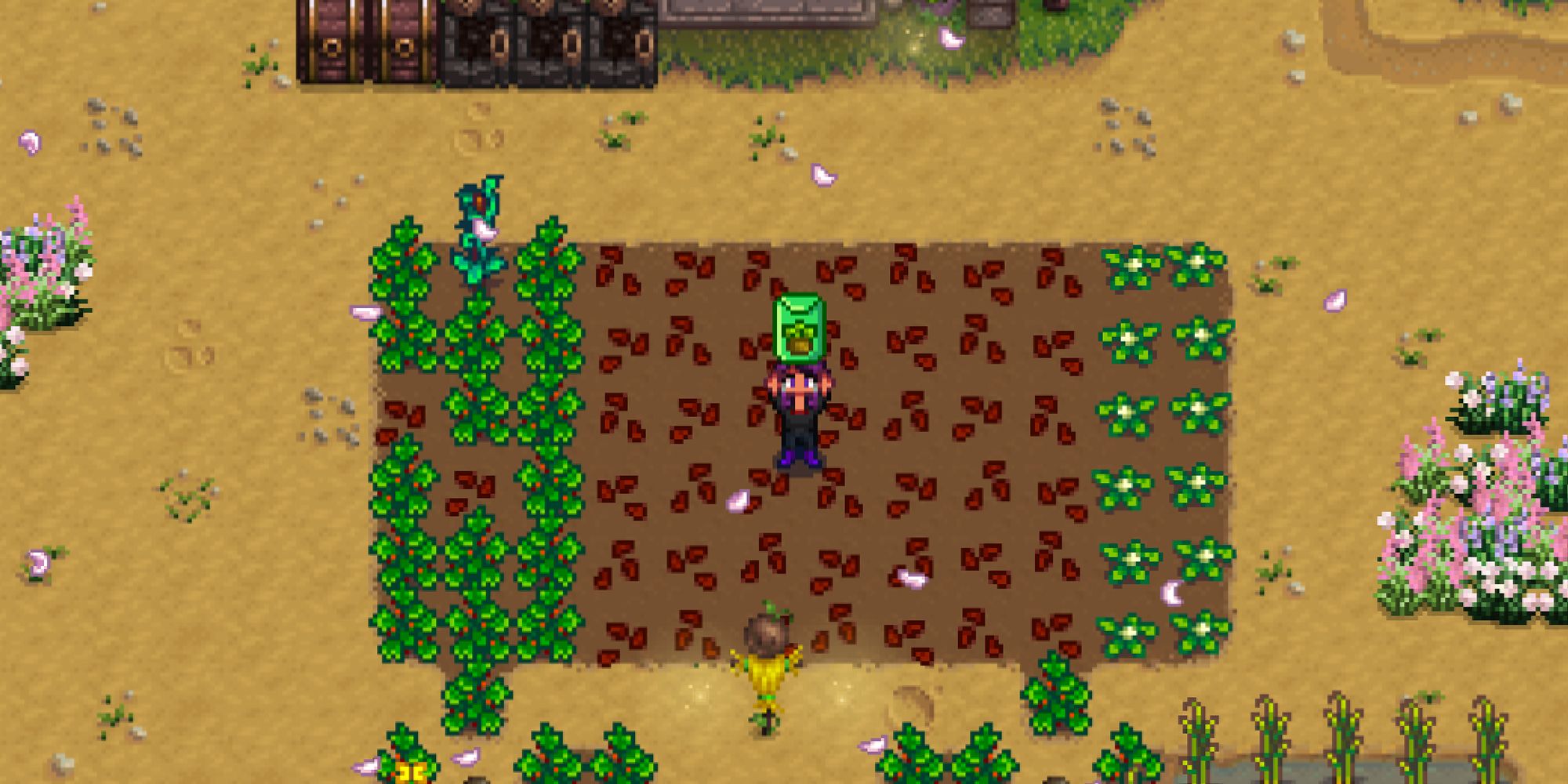 Stardew Valley farmer holds up Wild Seeds in the middle of a planted farm