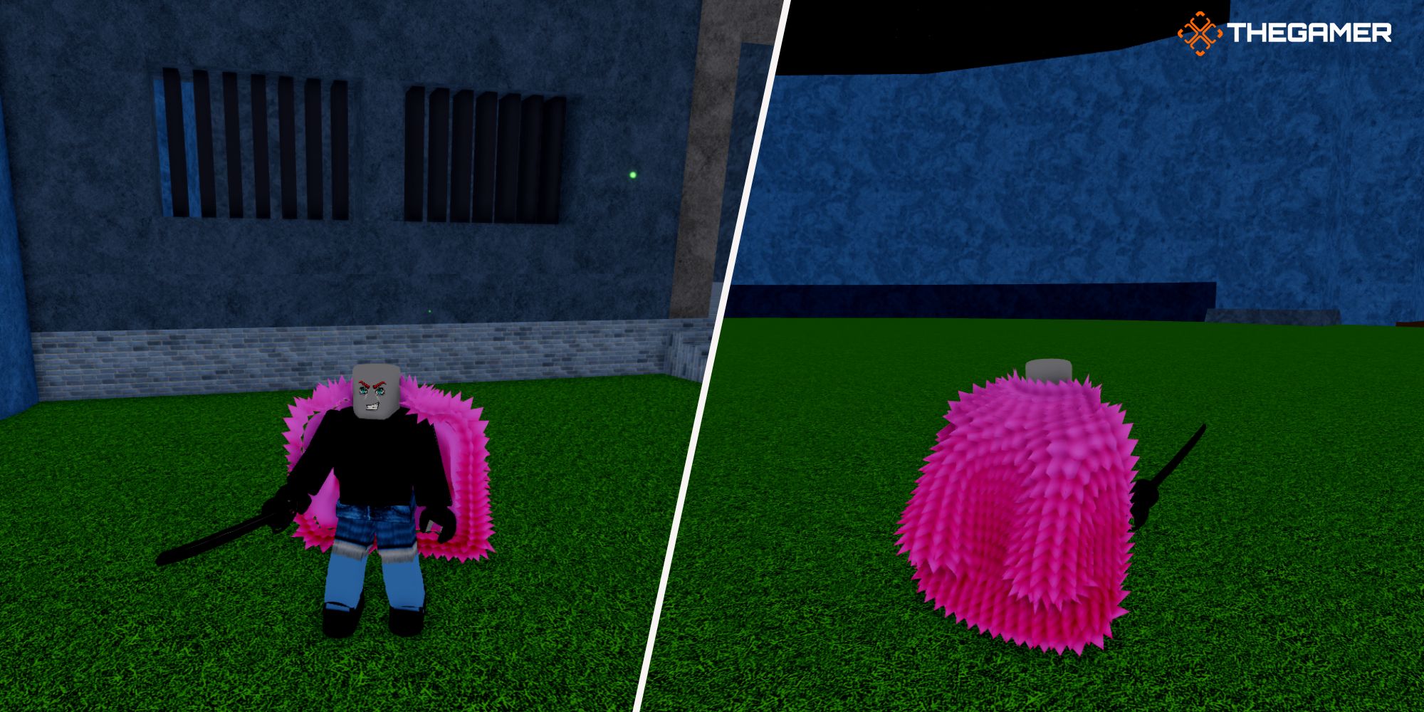 Roblox Blox Fruits. a character using the pink coat accessory
