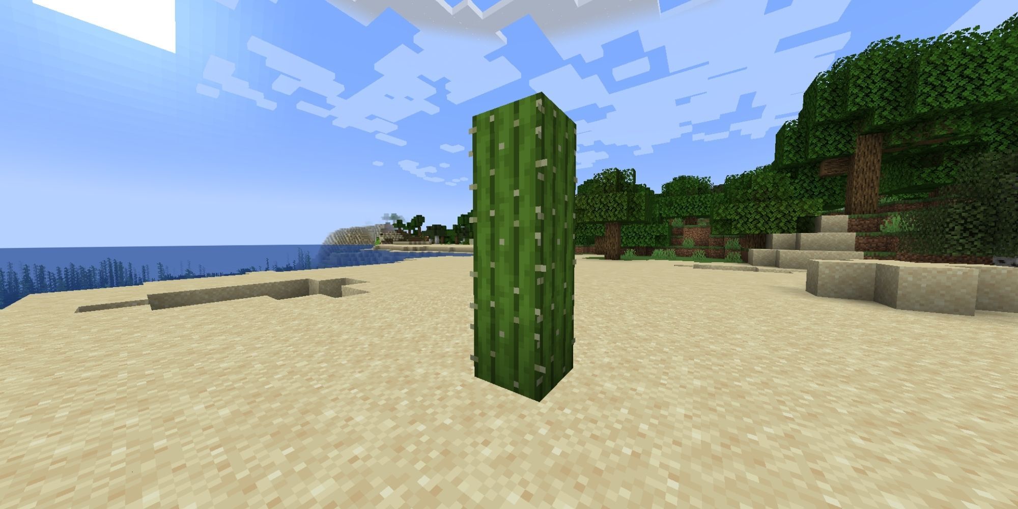 A three block tall, green cactus on some sand.
