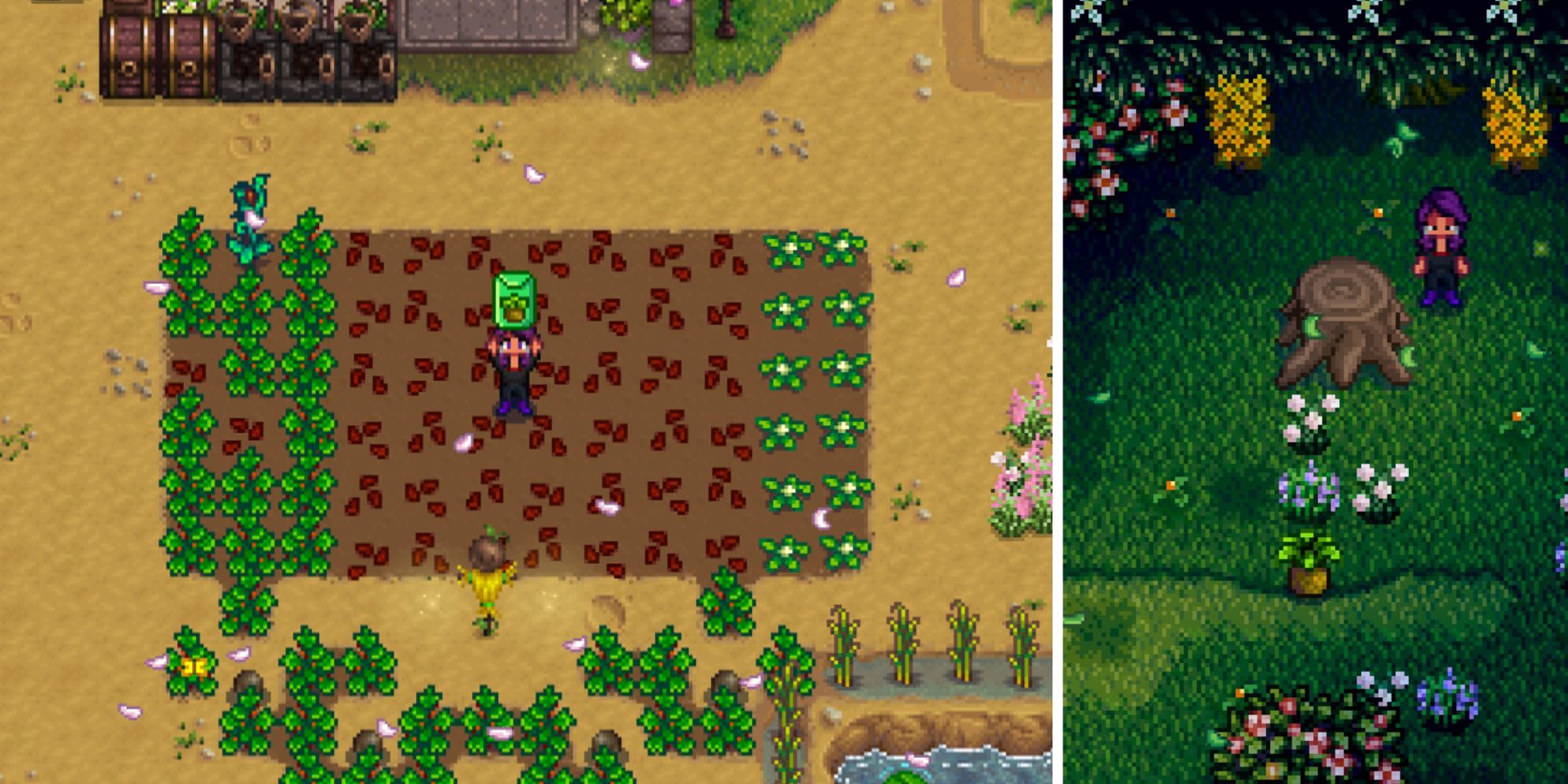 Stardew Valley split image farmer holds up spring wild seeds in the middle of a planted farm, and farmer stands next to a large stump in the secret woods