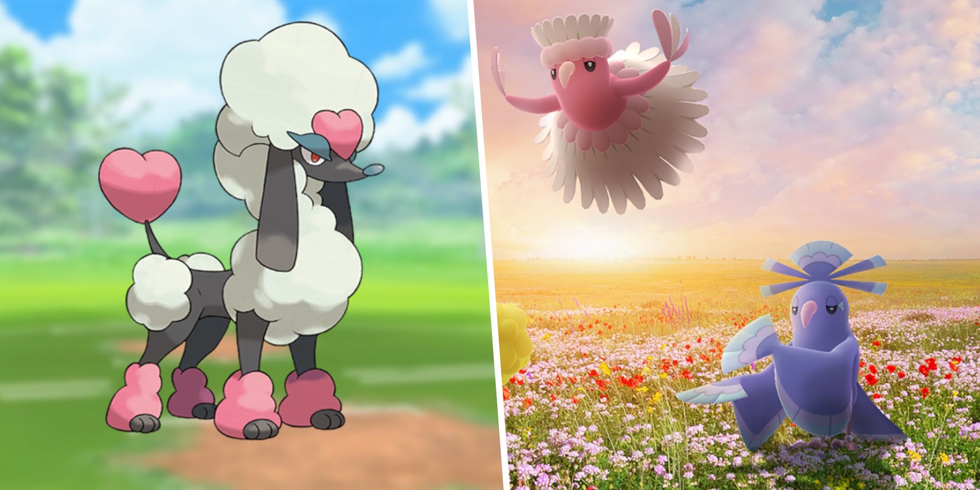 Image of Heart Trim Furfrou split with an image of two Oricorio