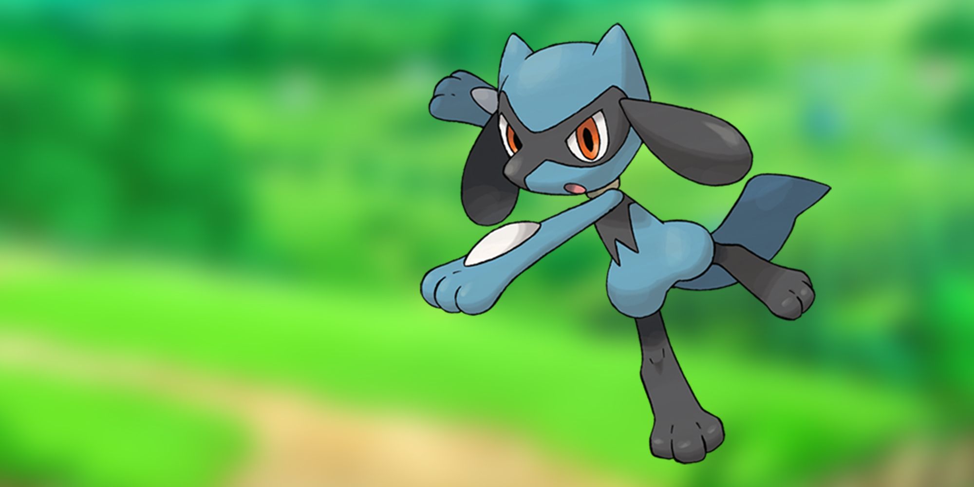 Riolu Posed Over a Blurred Background