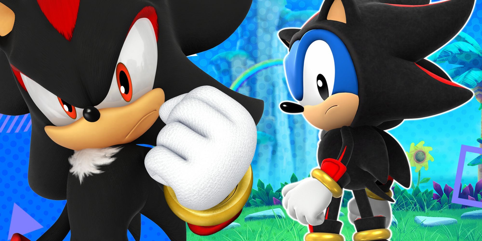 Left: Shadow the Hedgehog. Right: Classic Sonic wearing a Shadow outfit