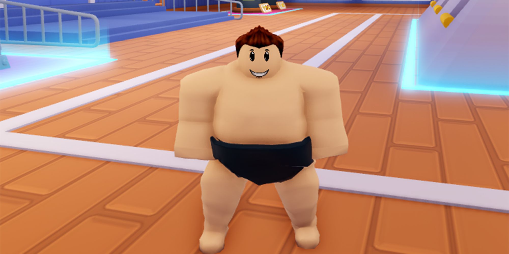 Sumo Wrestling Simulator Codes For Roblox