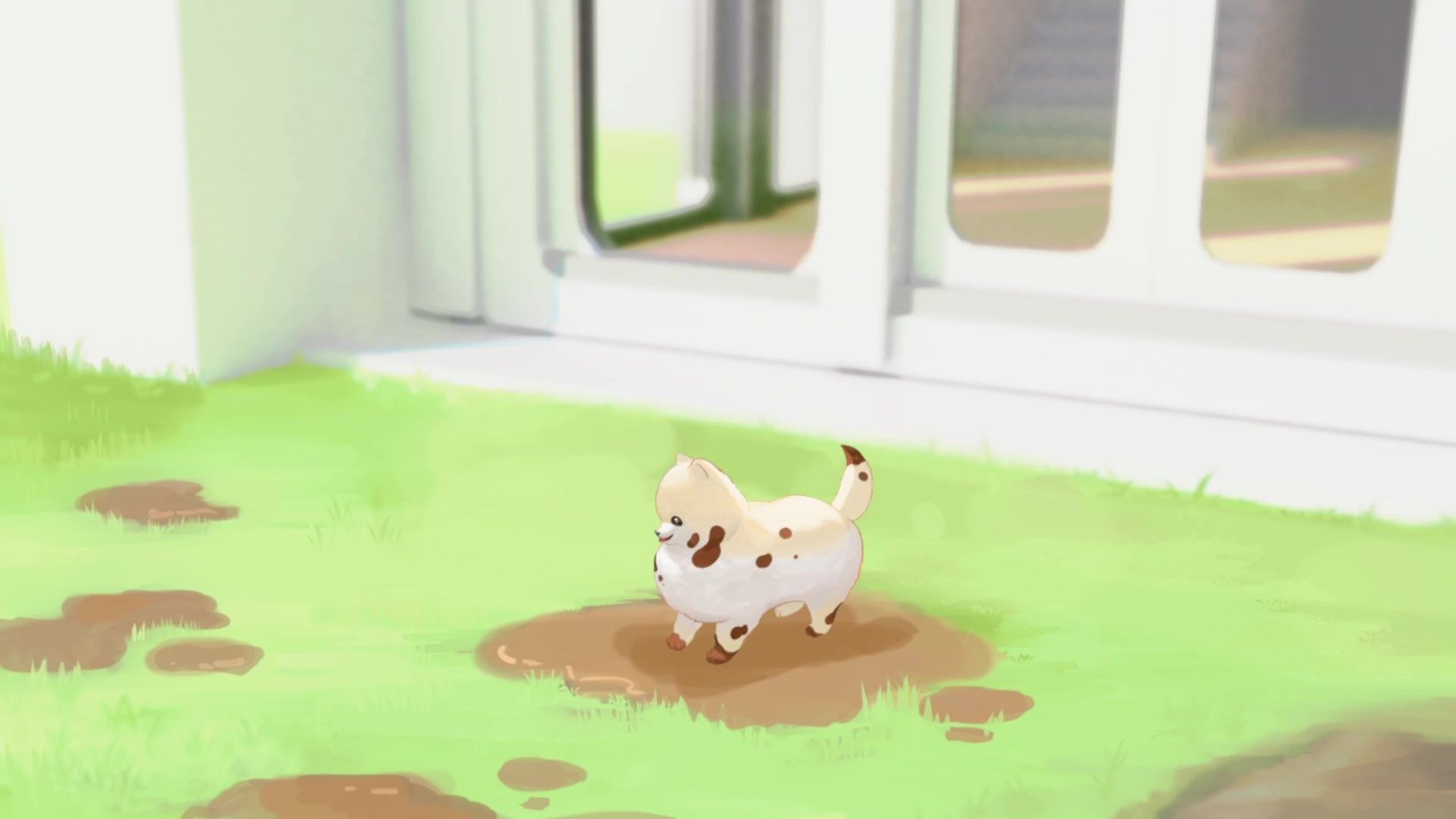 A Pomeranian in mud in Doronko Wanko.