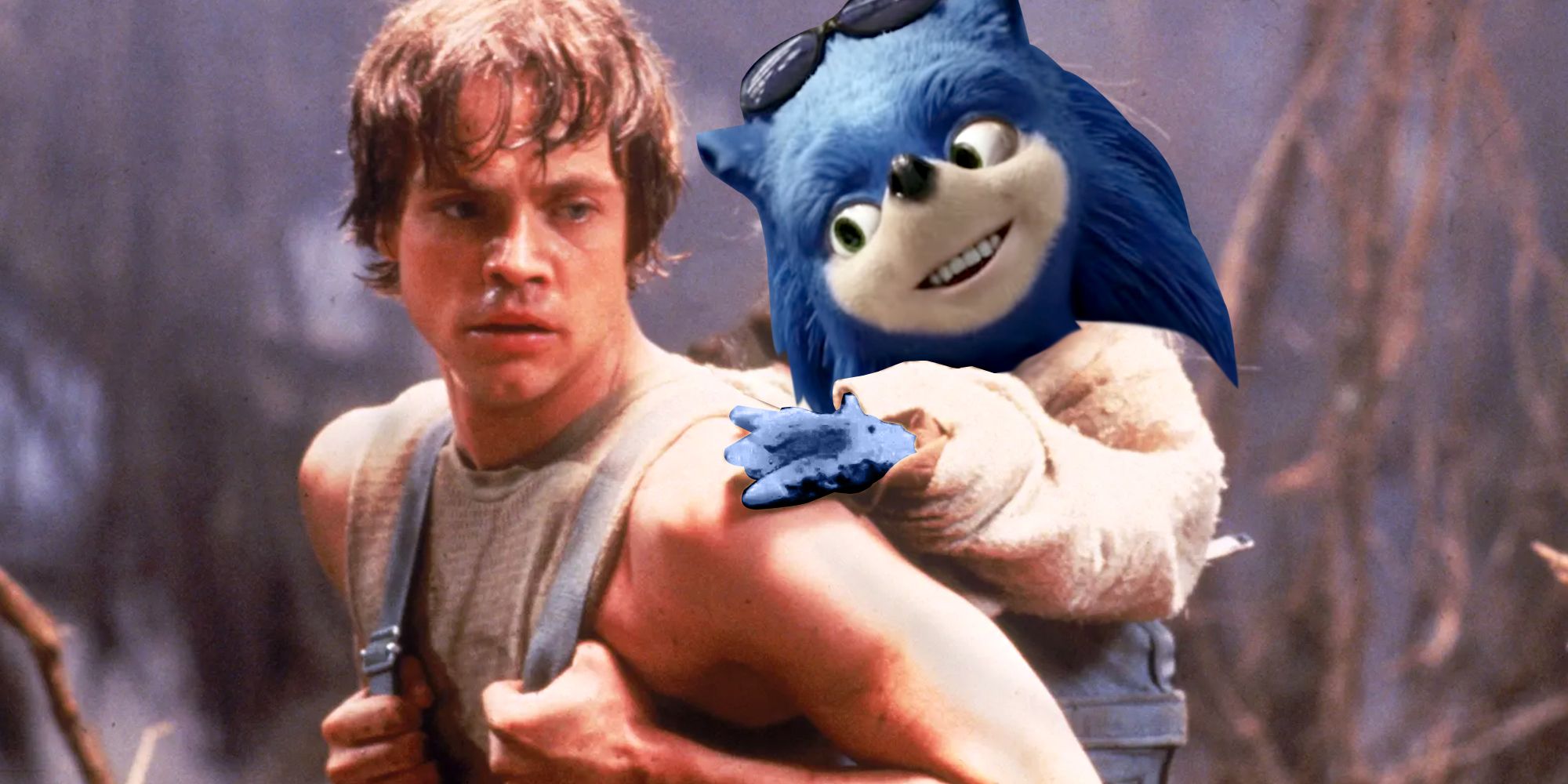 Luke Skywalker in Dagobah in The Empire Strikes Back carrying Ugly Sonic as a backpack instead of Yoda