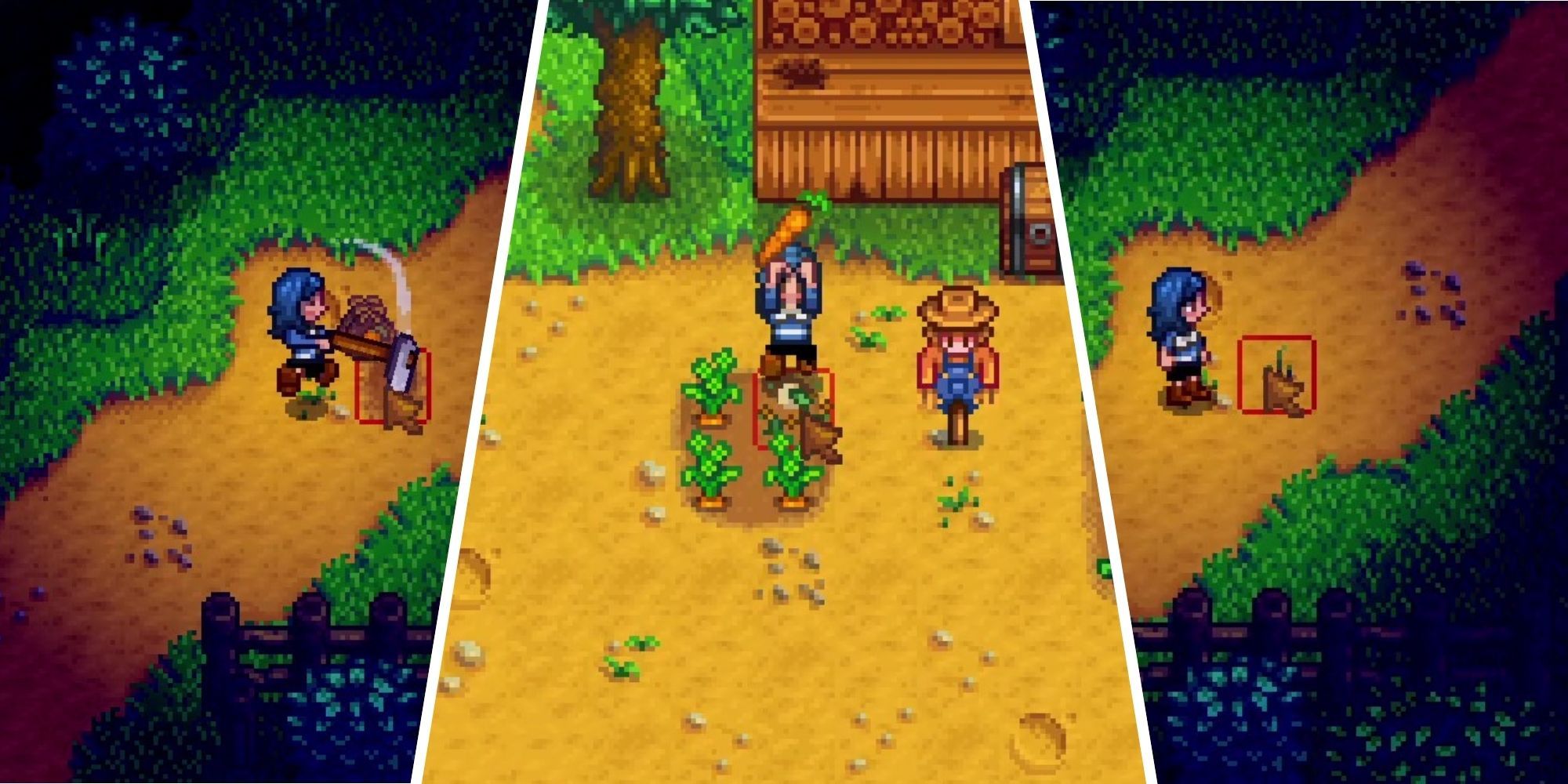 Stardew Valley carrot seeds being dug up and carrots being harvested