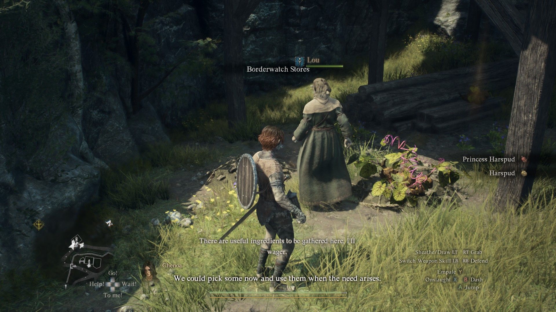Harspud locations to the West of Borderwatch camp in Dragon&rsquo;s Dogma 2
