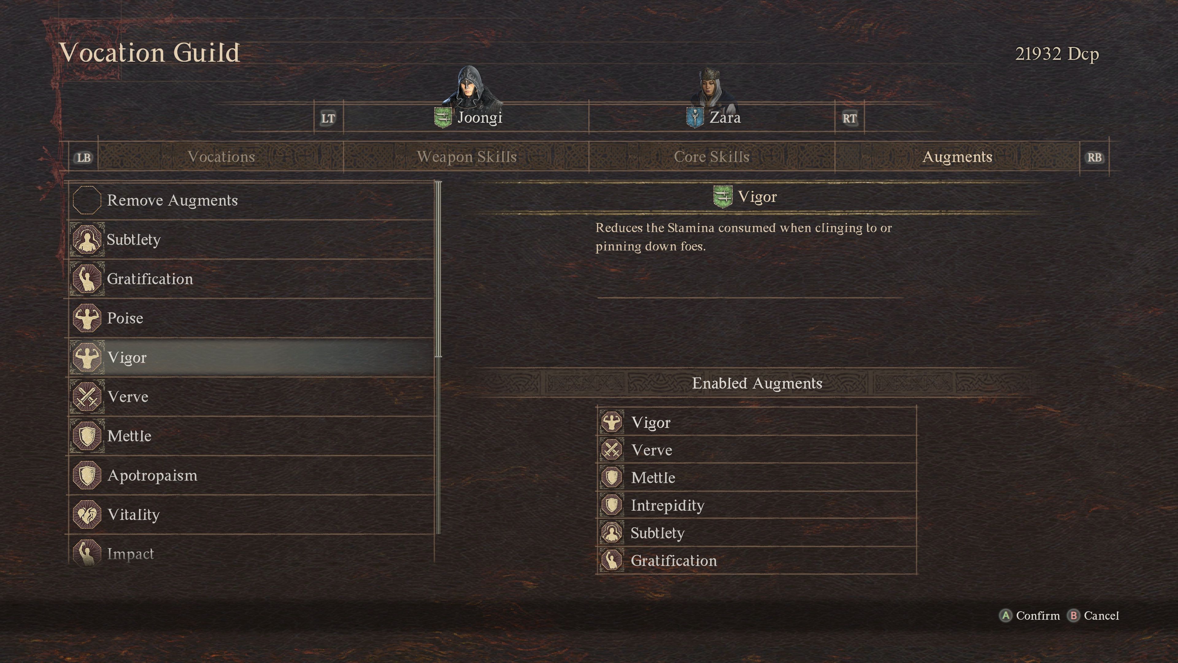 Dragons Dogma Best Builds