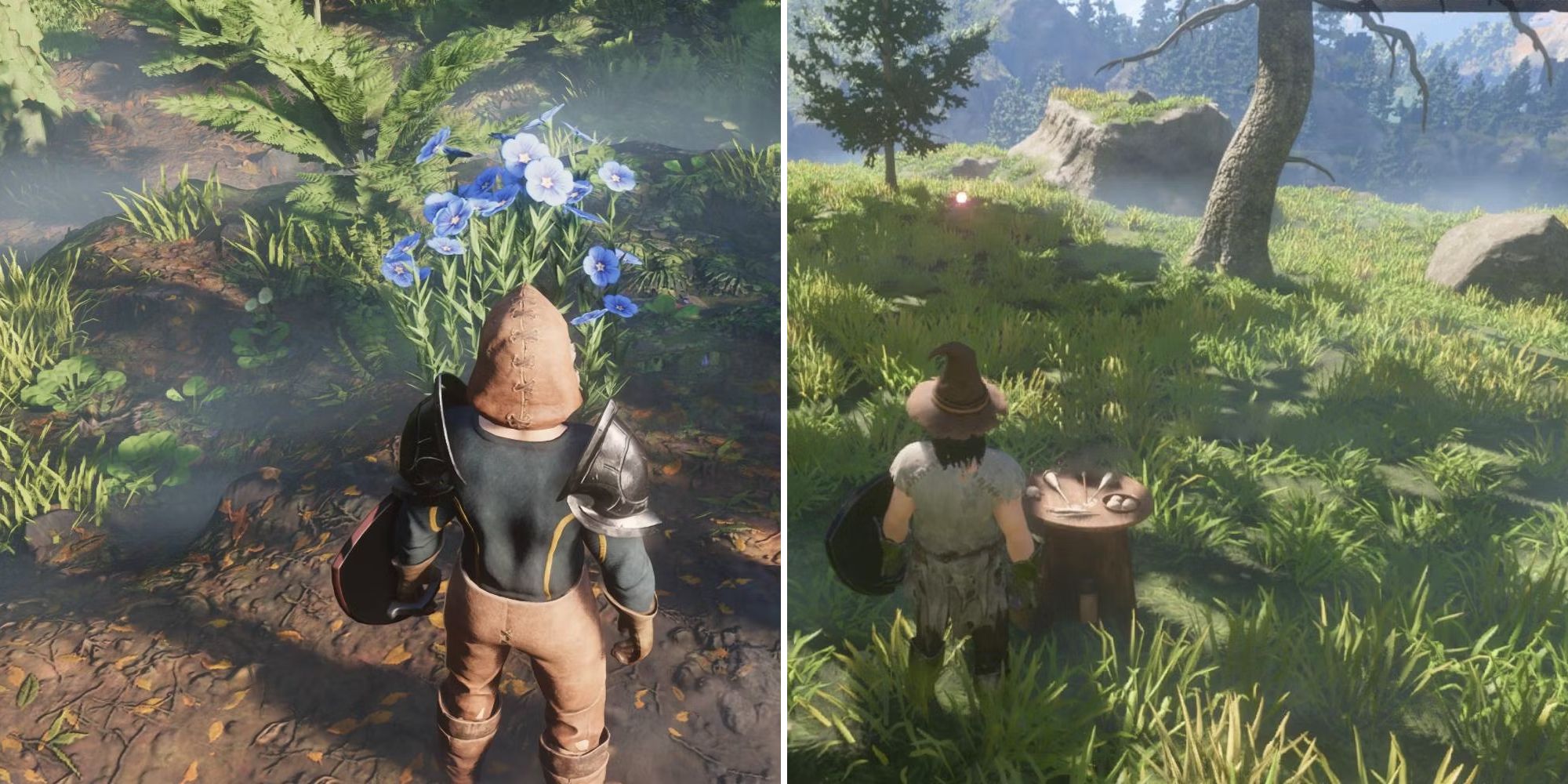 Flax And Crafting In Enshrouded