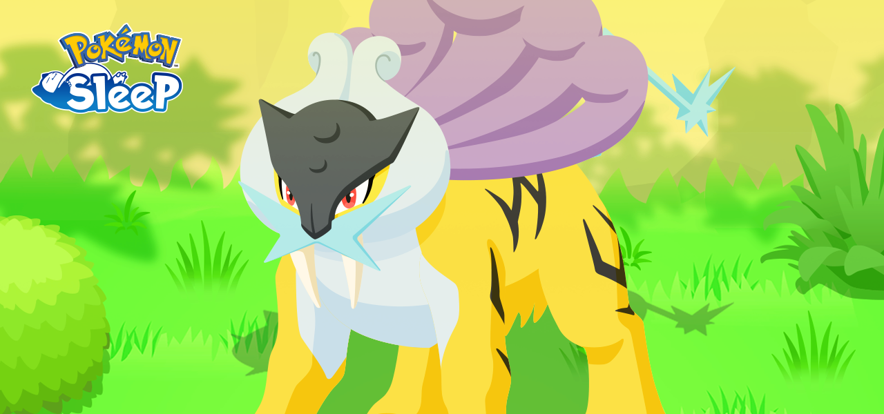 An image of Raikou from Pokemon Sleep