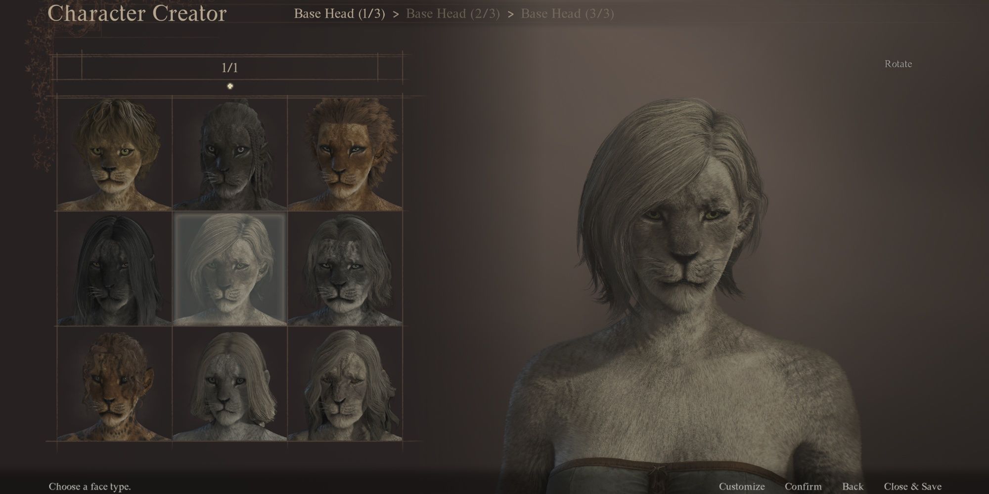 Dragon's Dogma 2 Character Creator - gallery of different cat races
