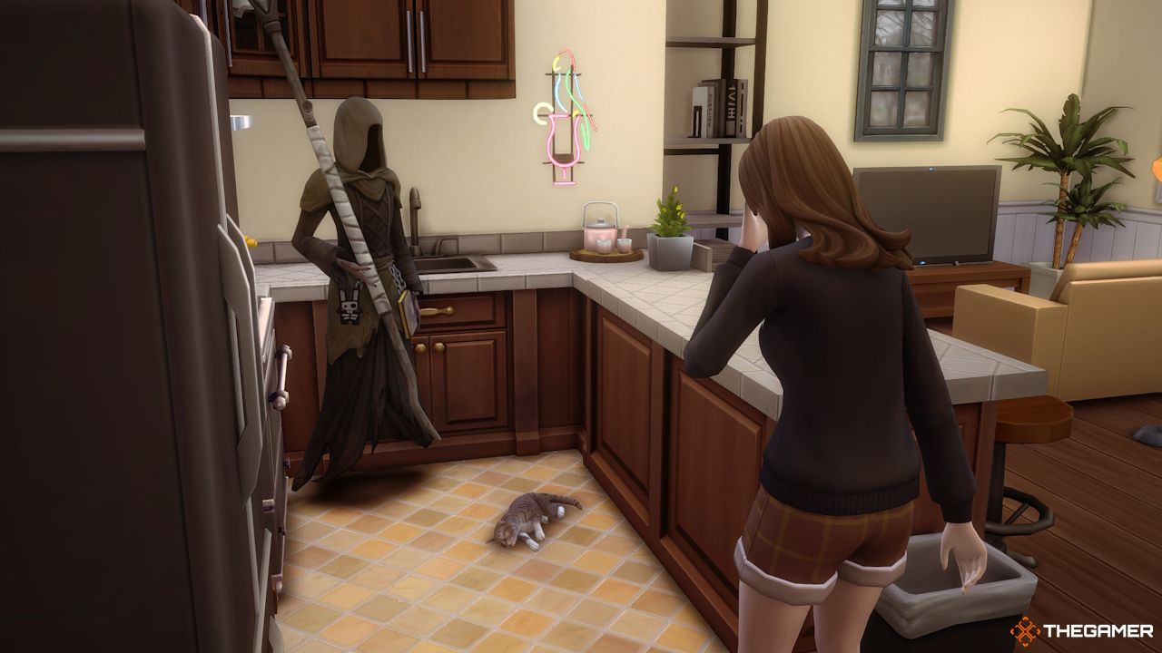 The Grim Reaper comes to reap a cat in Sims 4