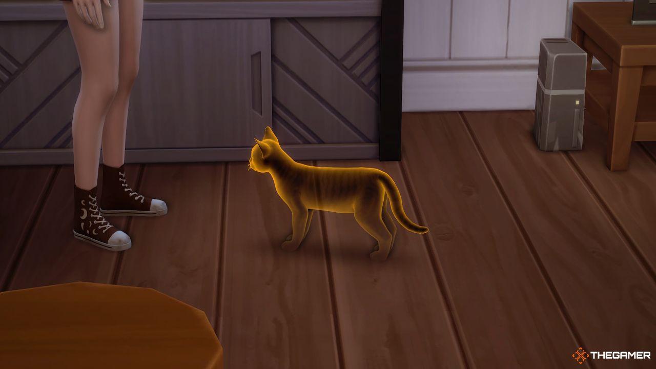 A ghost cat with an orange glow in Sims 4