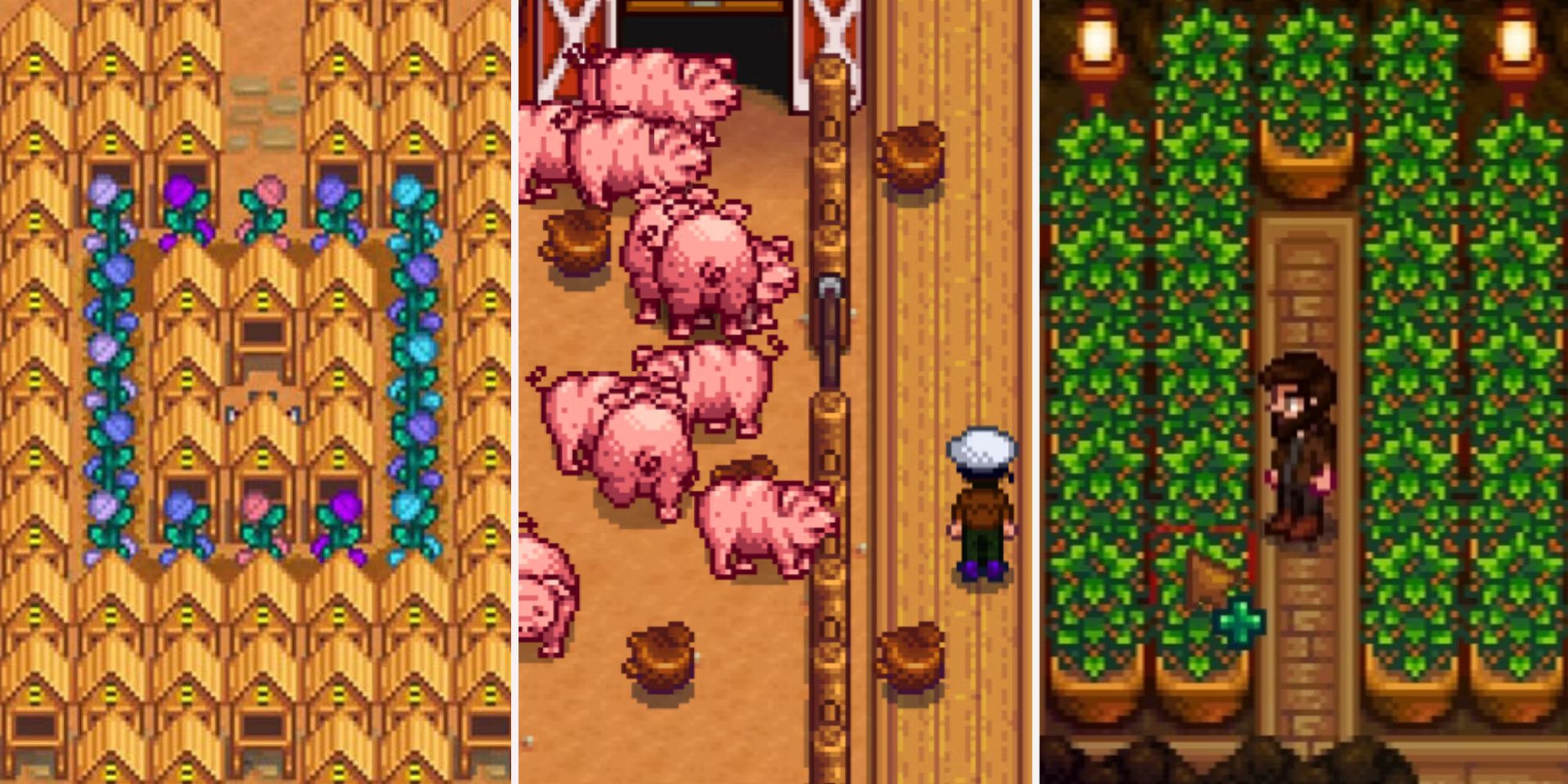 Stardew valley honey pigs and coffee