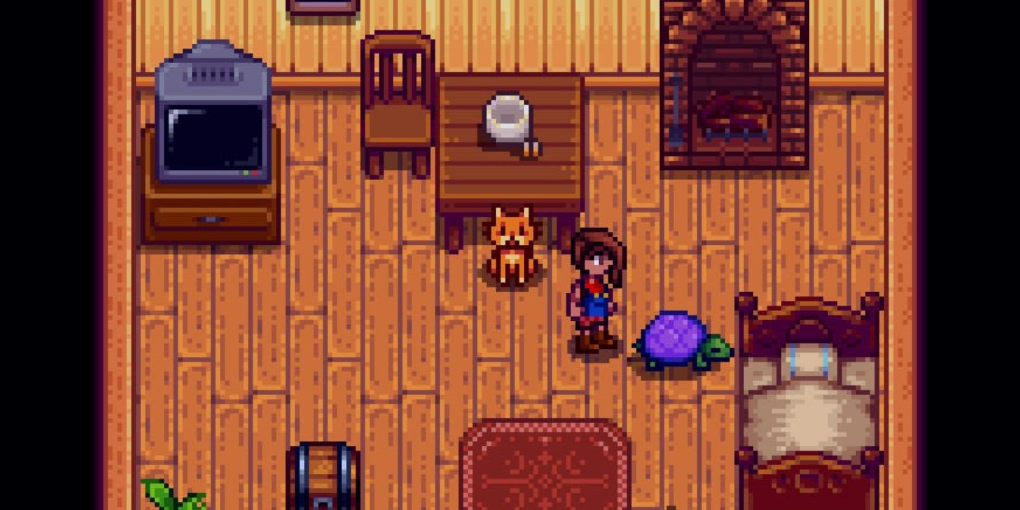 a character standing near a cat and a turtle in Stardew Valley.