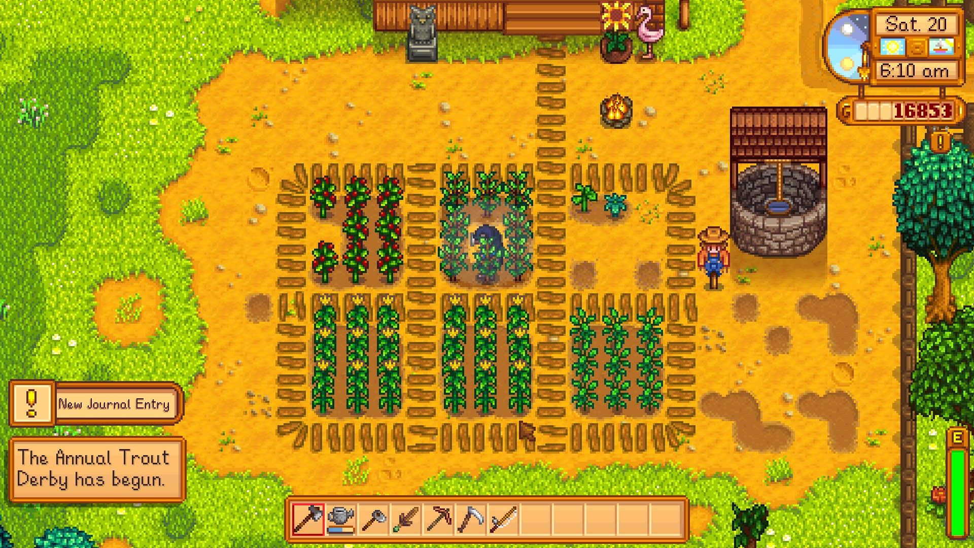 How To Complete The Trout Derby In Stardew Valley