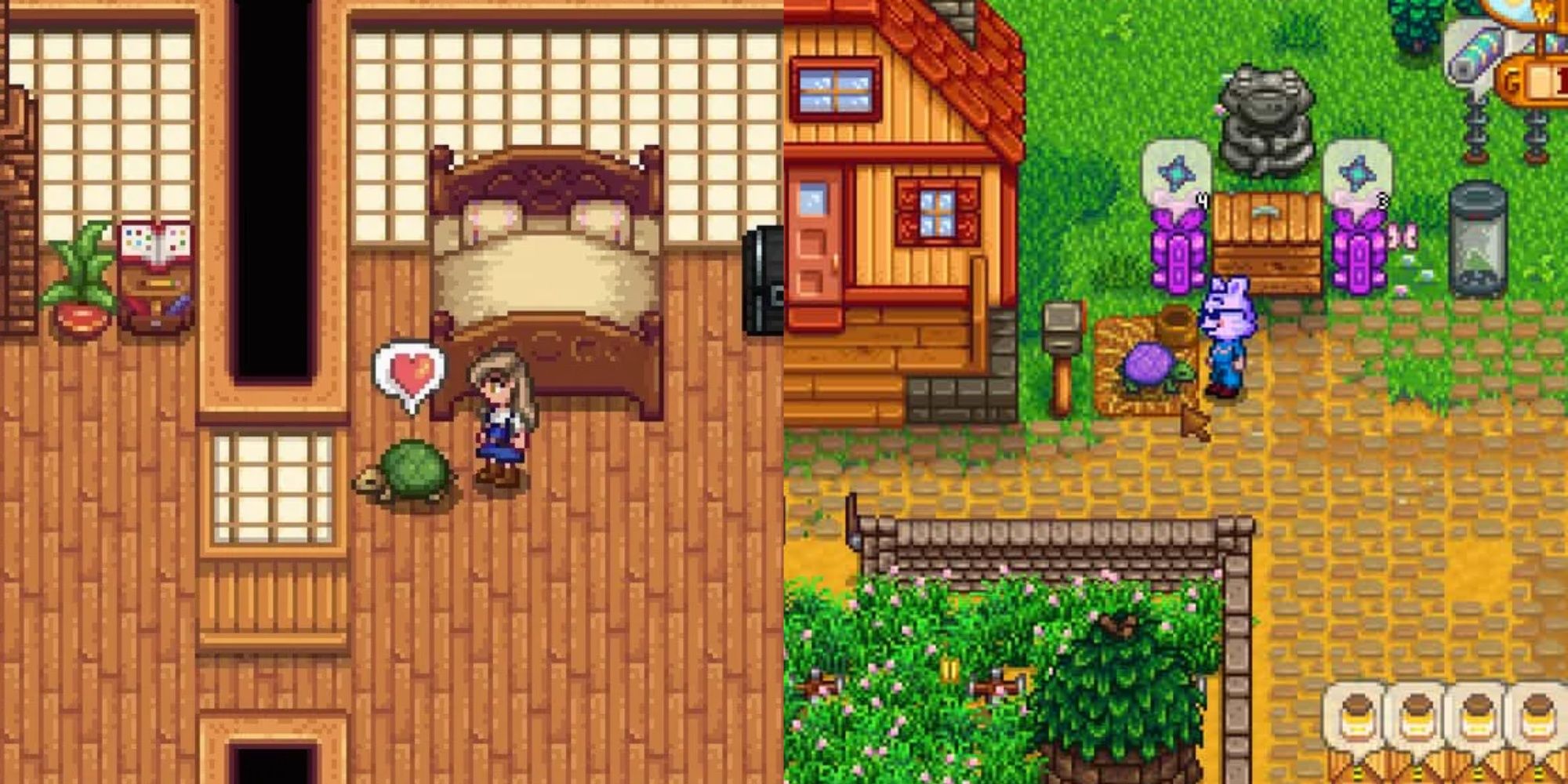 An image introducing Stardew Valley's two turtle pets. Turtles come in two colors: green and purple. 