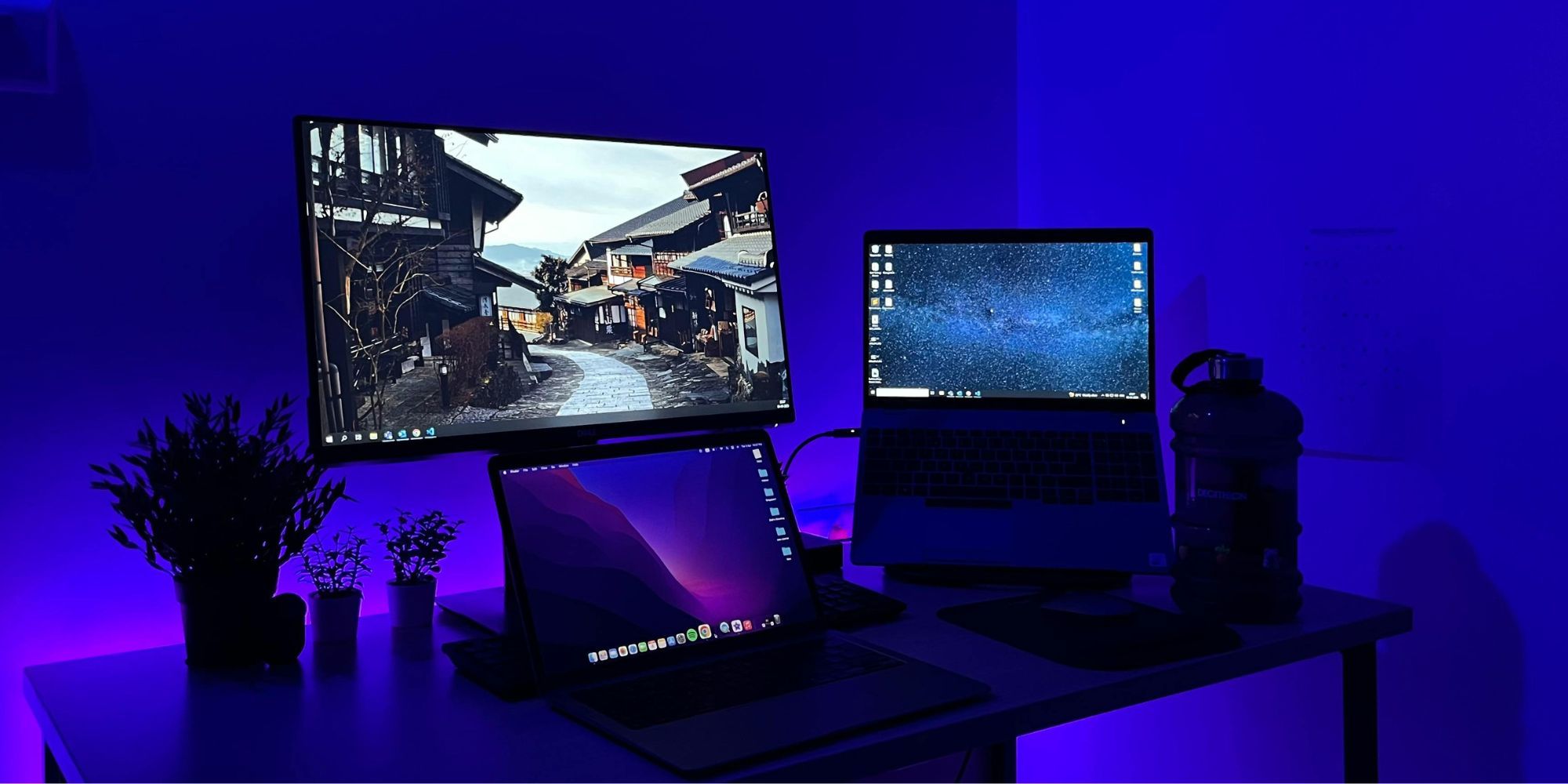 Two Laptops And One Monitor In Dark Room On A Desk With Purple Lighting And Plants