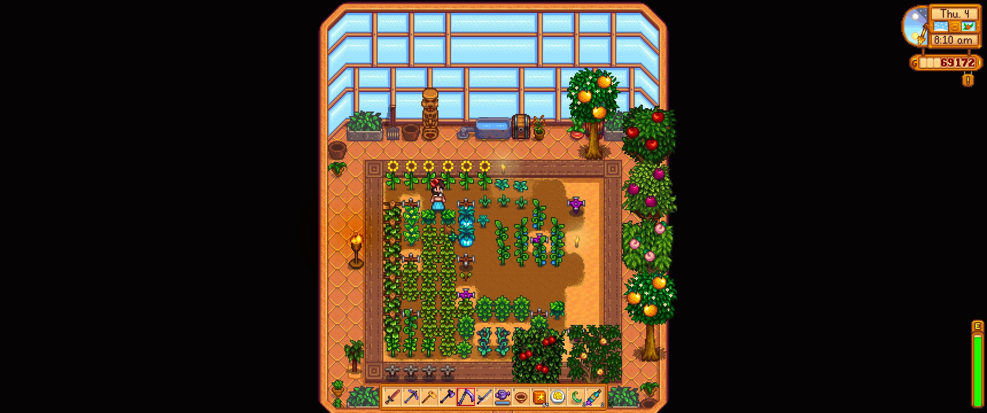 Stardew Valley: The player stands by their Broccoli plants in the greenhouse.