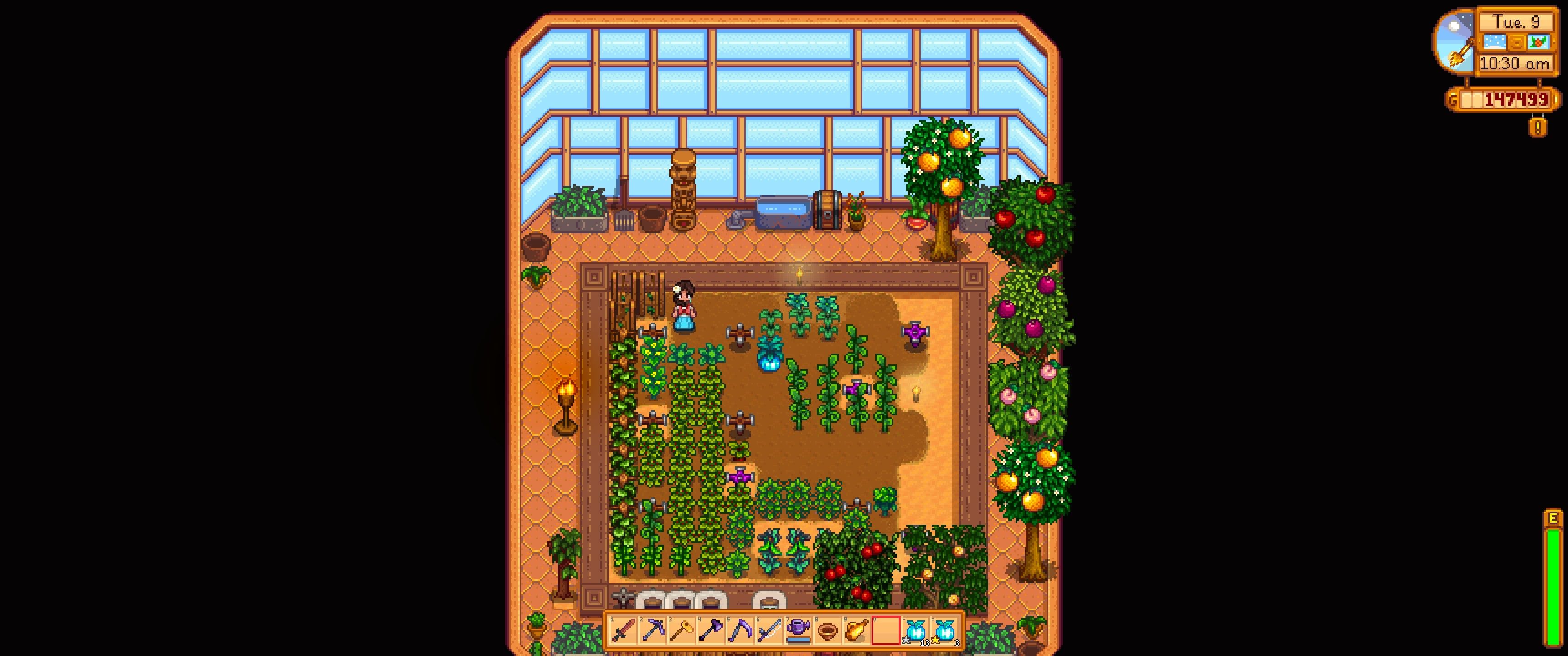 Stardew Valley: The player stands in their greenhouse nest to three new Hops Starters.