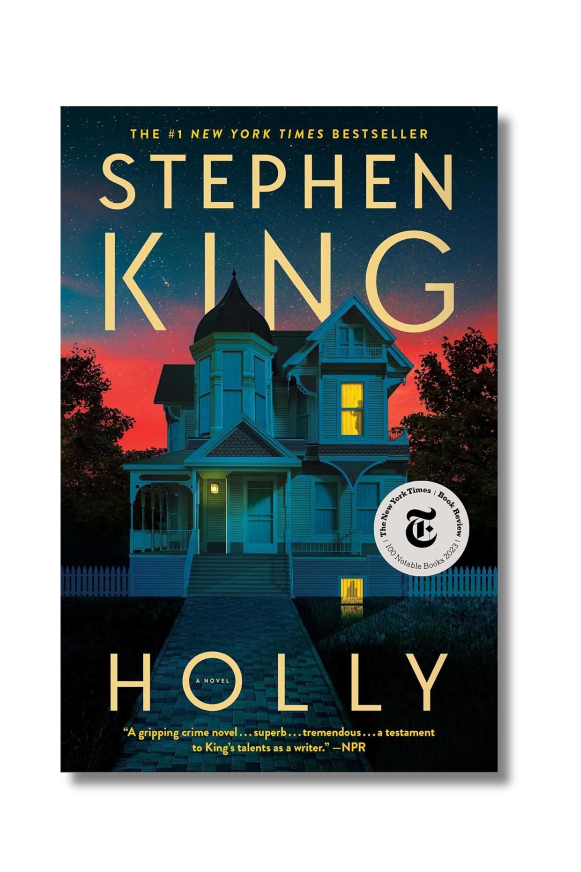 Holly Book Cover