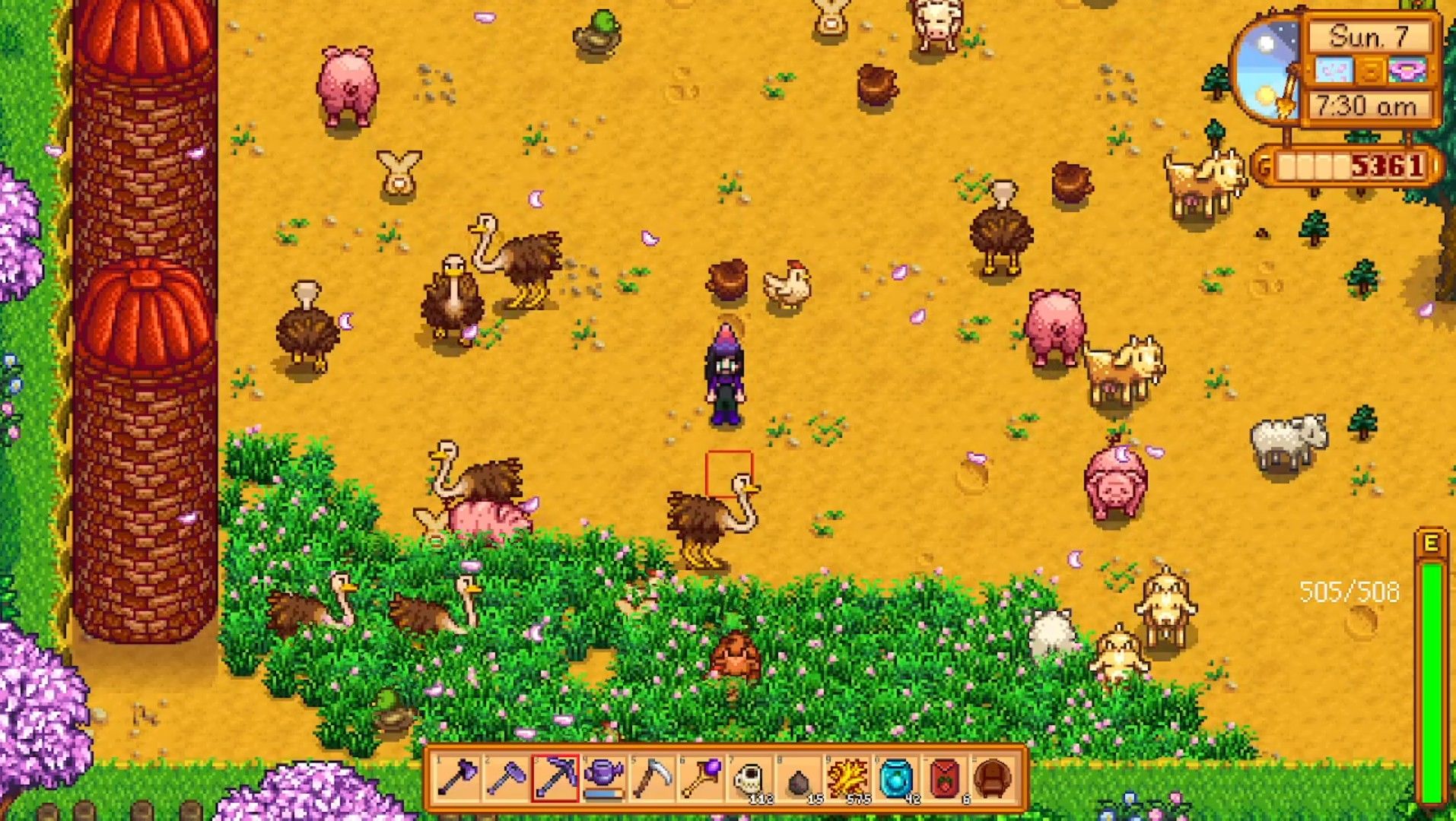 a farmer with several different kinds of animals with planted grass and silos stardew valley
