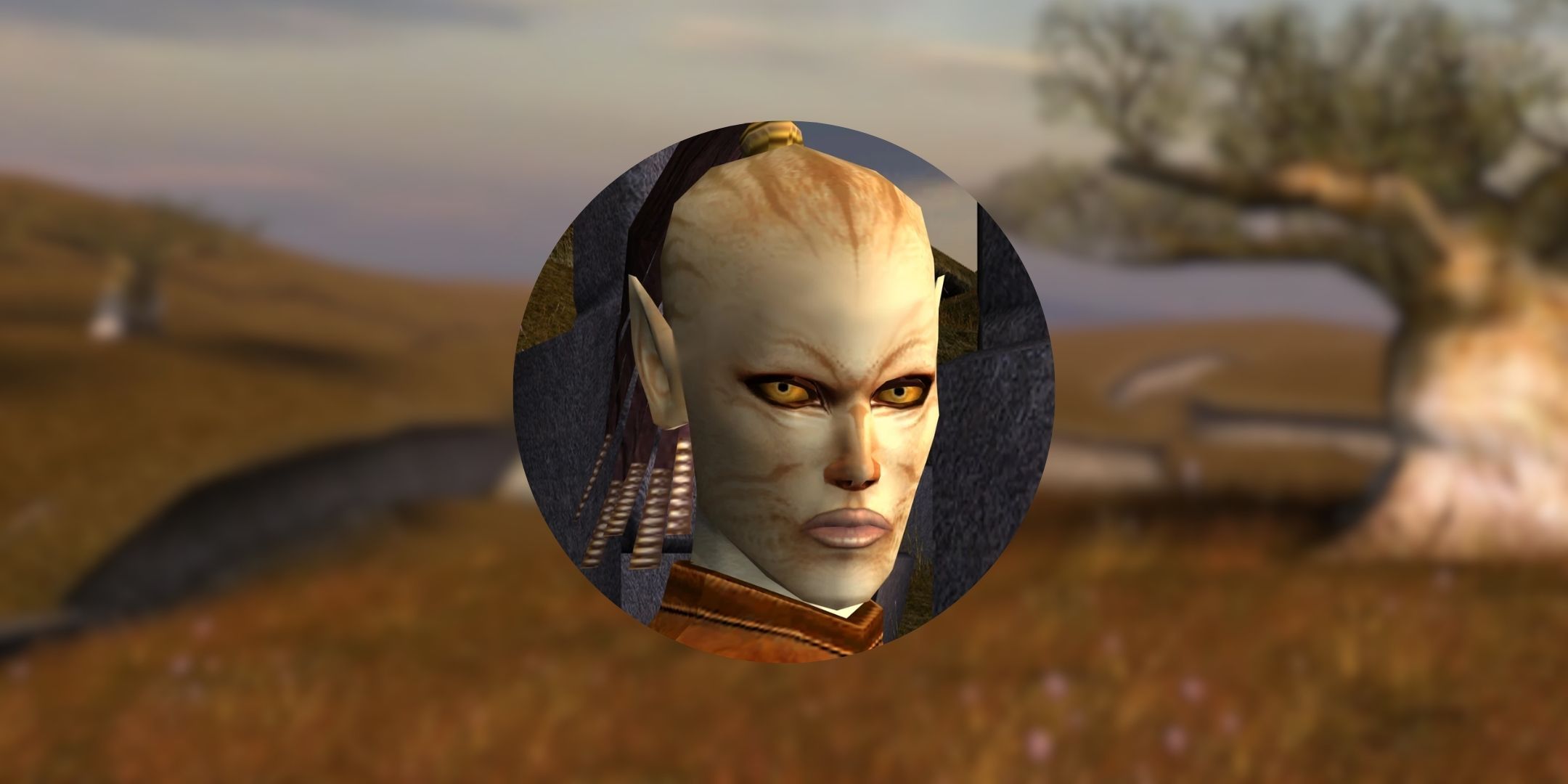 Circle image of Juhani in front of the Dantooine outback from Star Wars Knights of the Old Republic