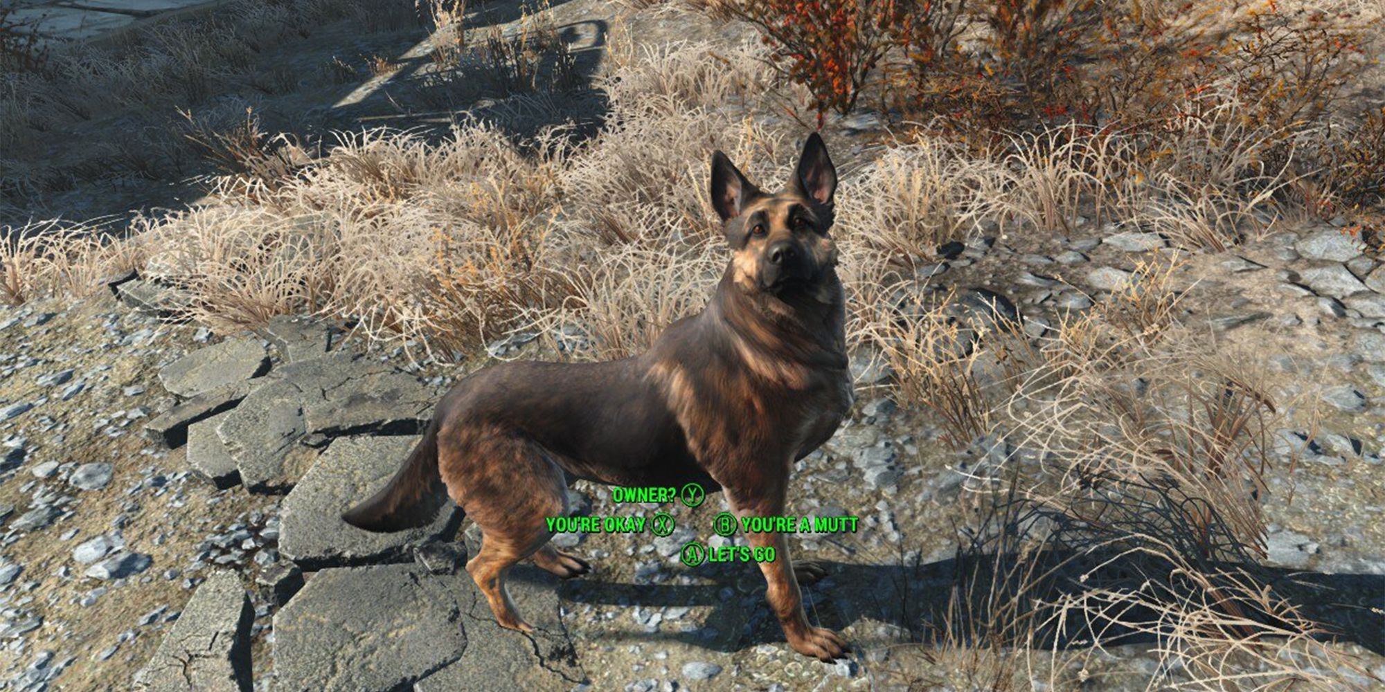 dogmeat meeting dialogue options