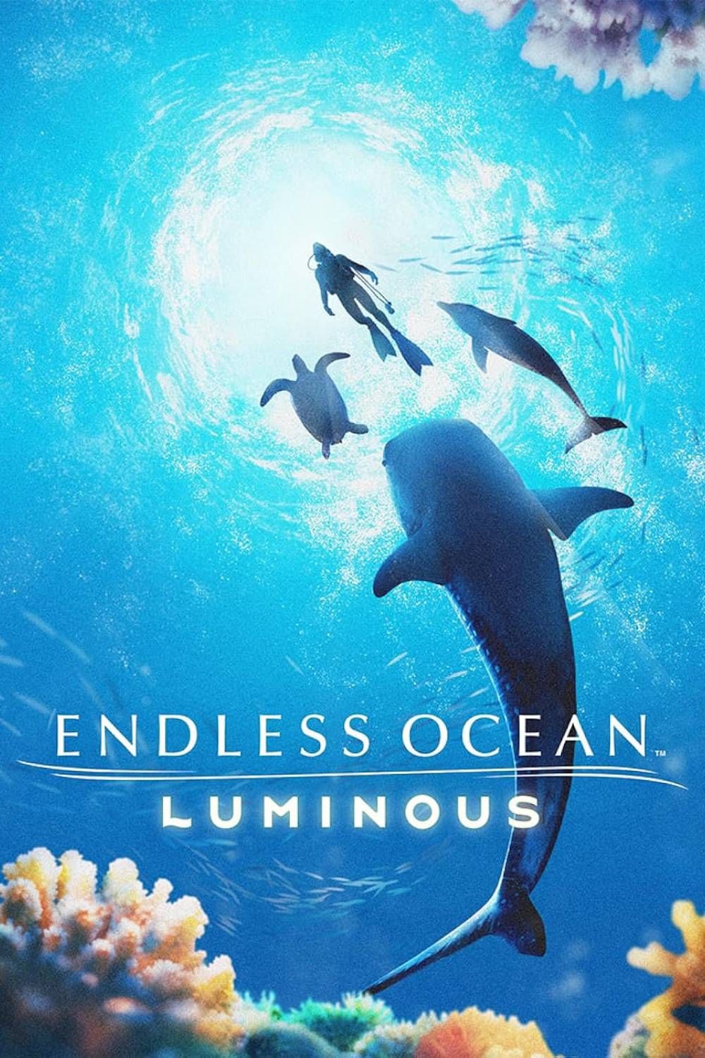 Endless Ocean Luminous | TheGamer