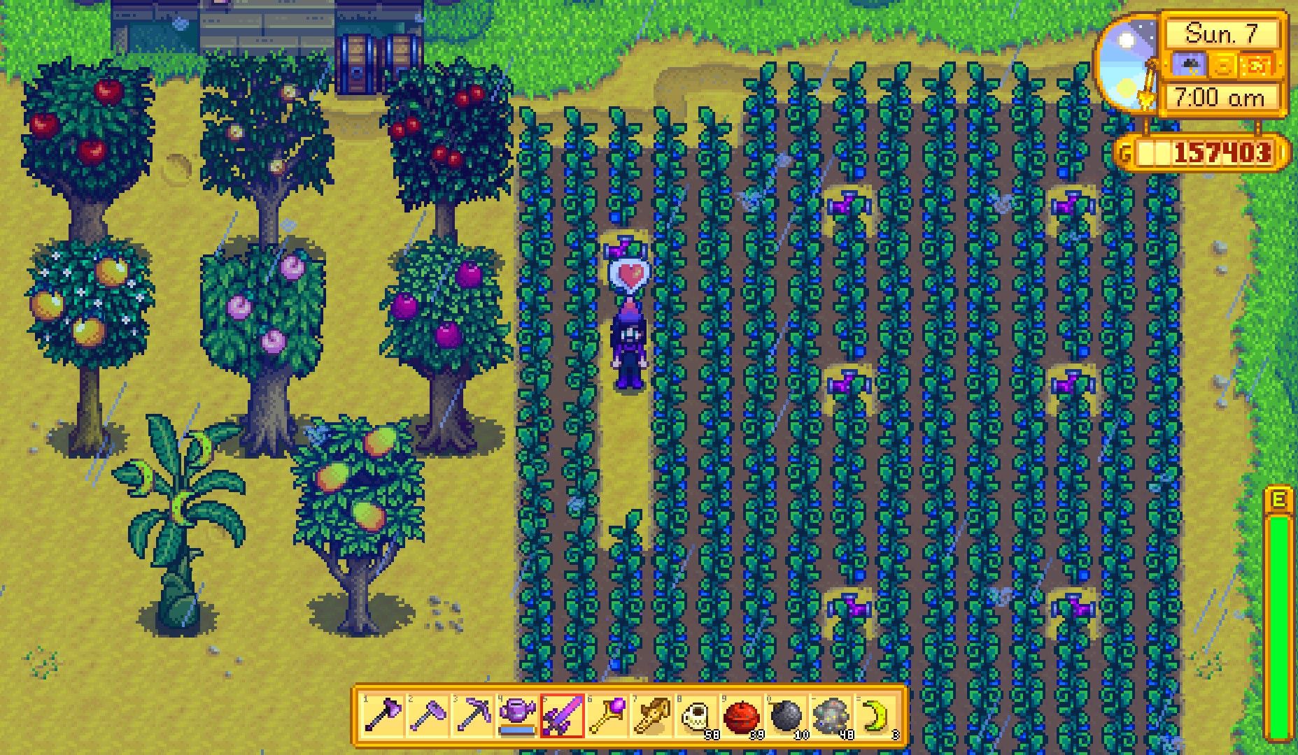 When Do Fruit Trees Bear Fruit In Stardew Valley?