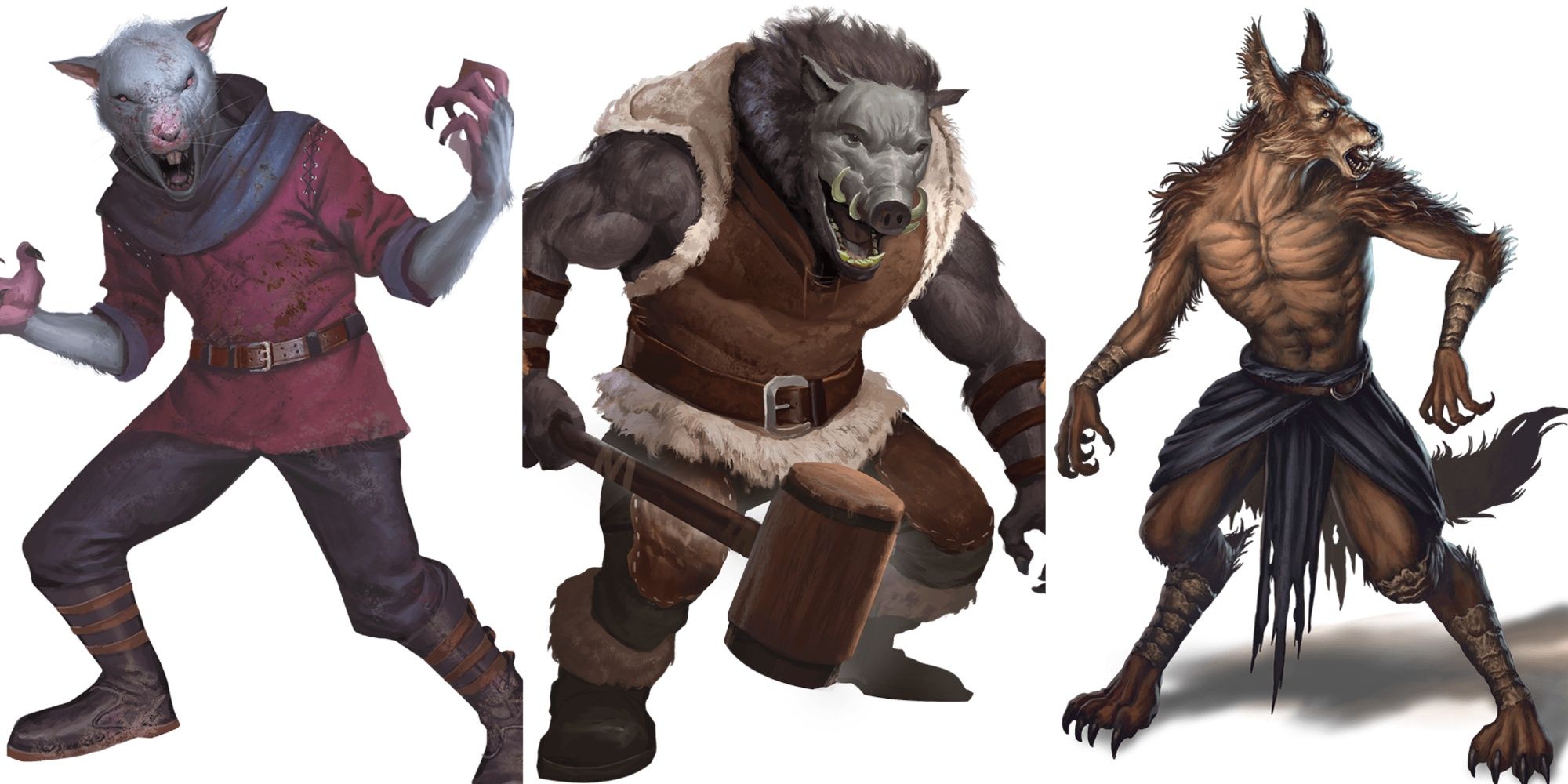 A wererat, a wereboar, and a jackalwere from Dungeons & Dragons