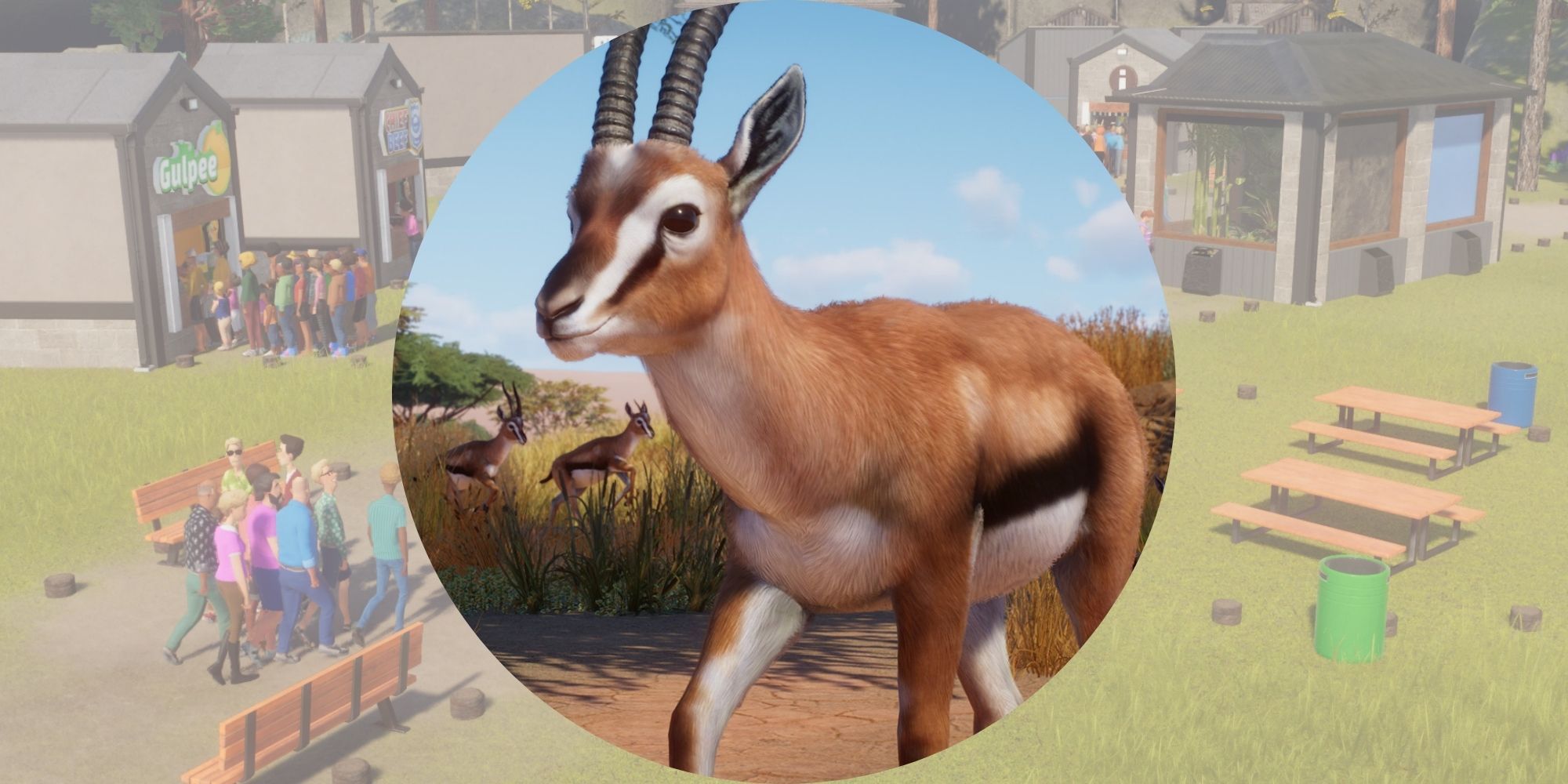 Planet Zoo Header Thompsons Gazelle in front of zoo