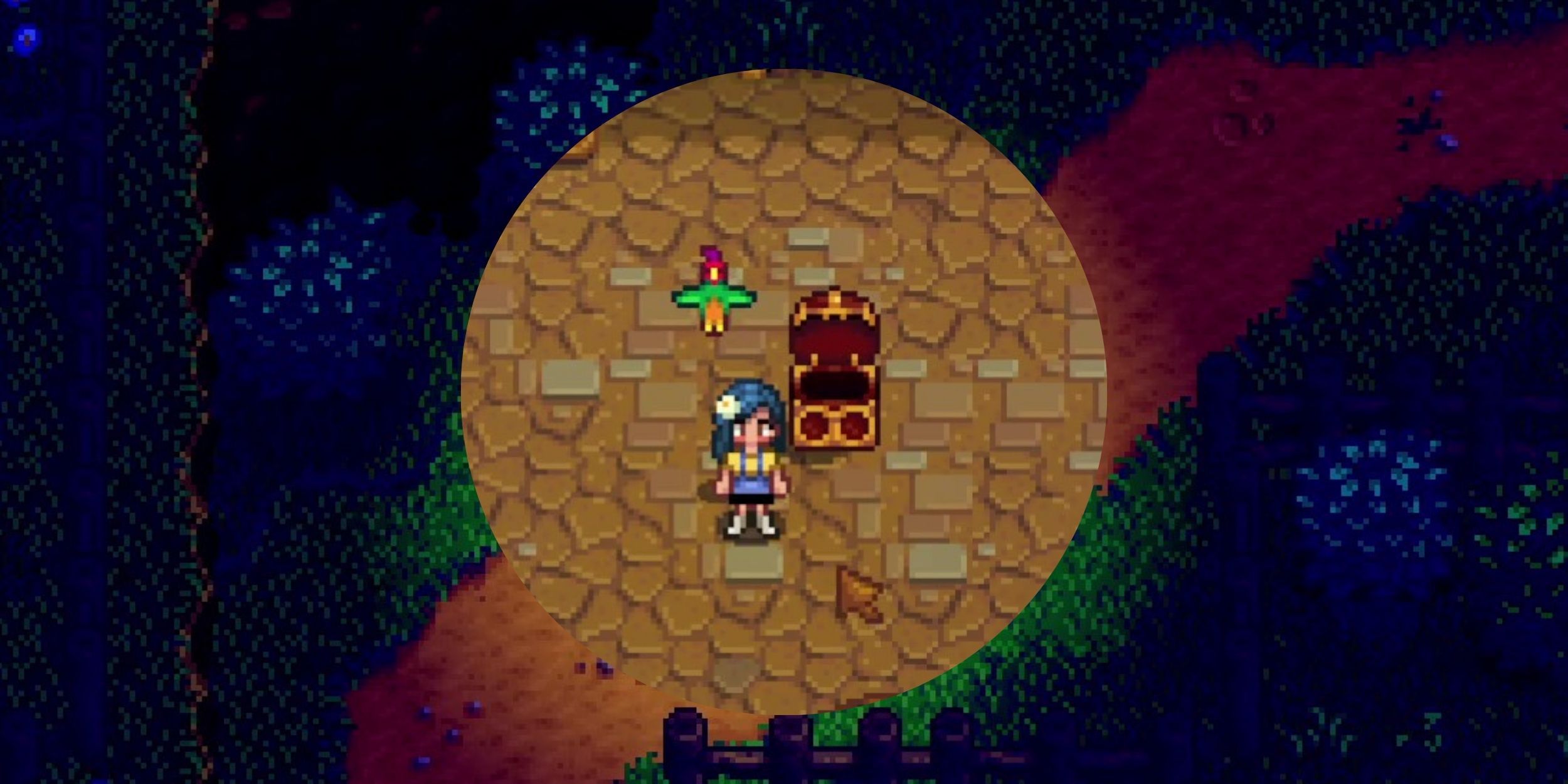 How To Get A Pet Parrot In Stardew Valley